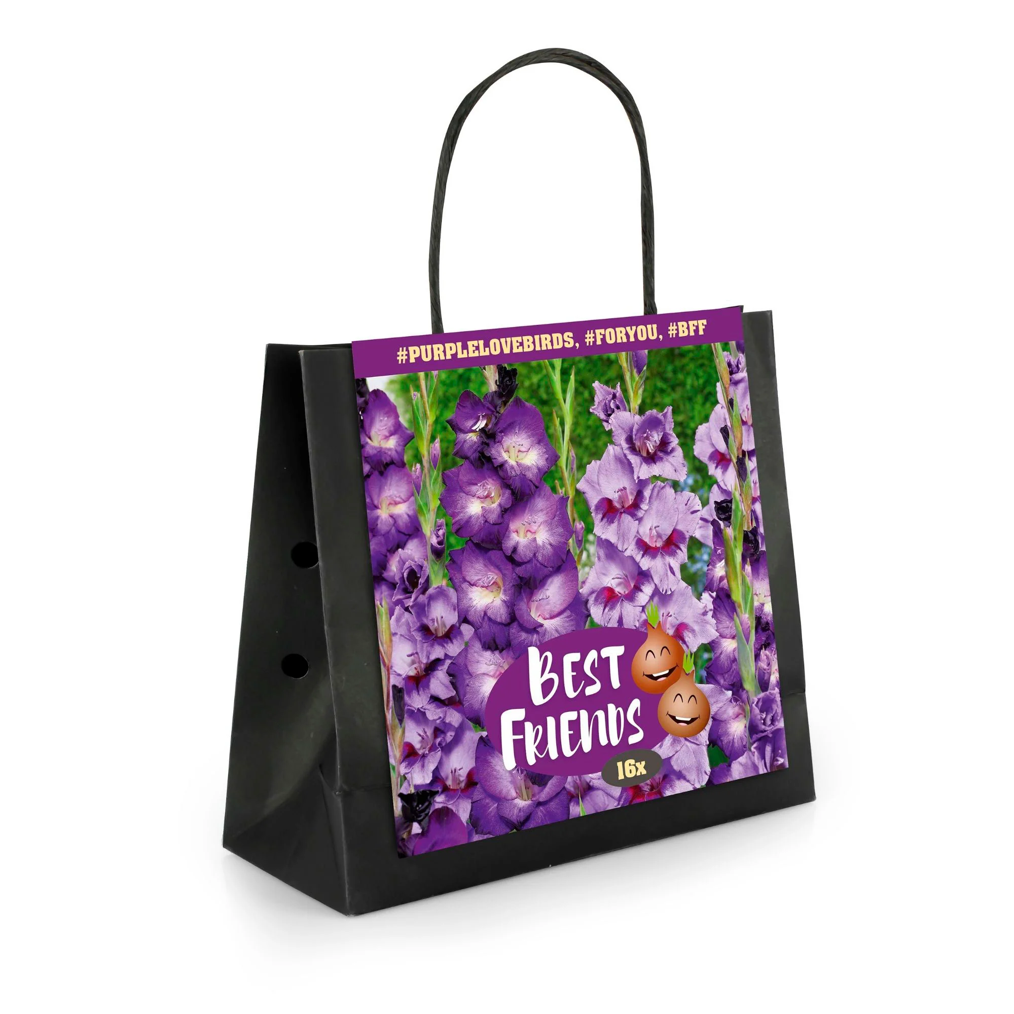 16x Glaïeul Gladiolus  'Purple Love Birds'  Violet - Image 2