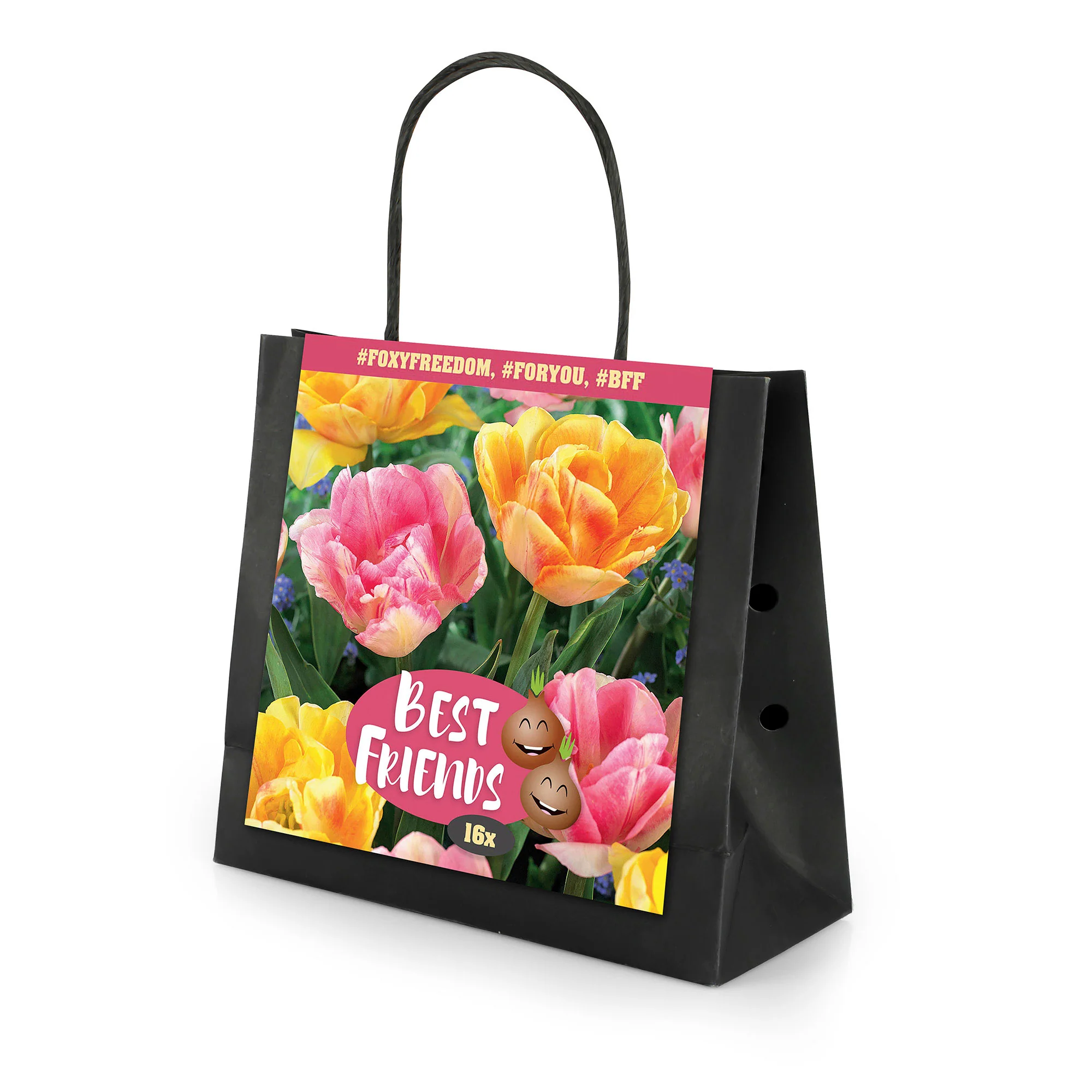 16x Tulipe Tulipa - Mélange 'Foxy Freedom' Rose-Jaune - Image 3