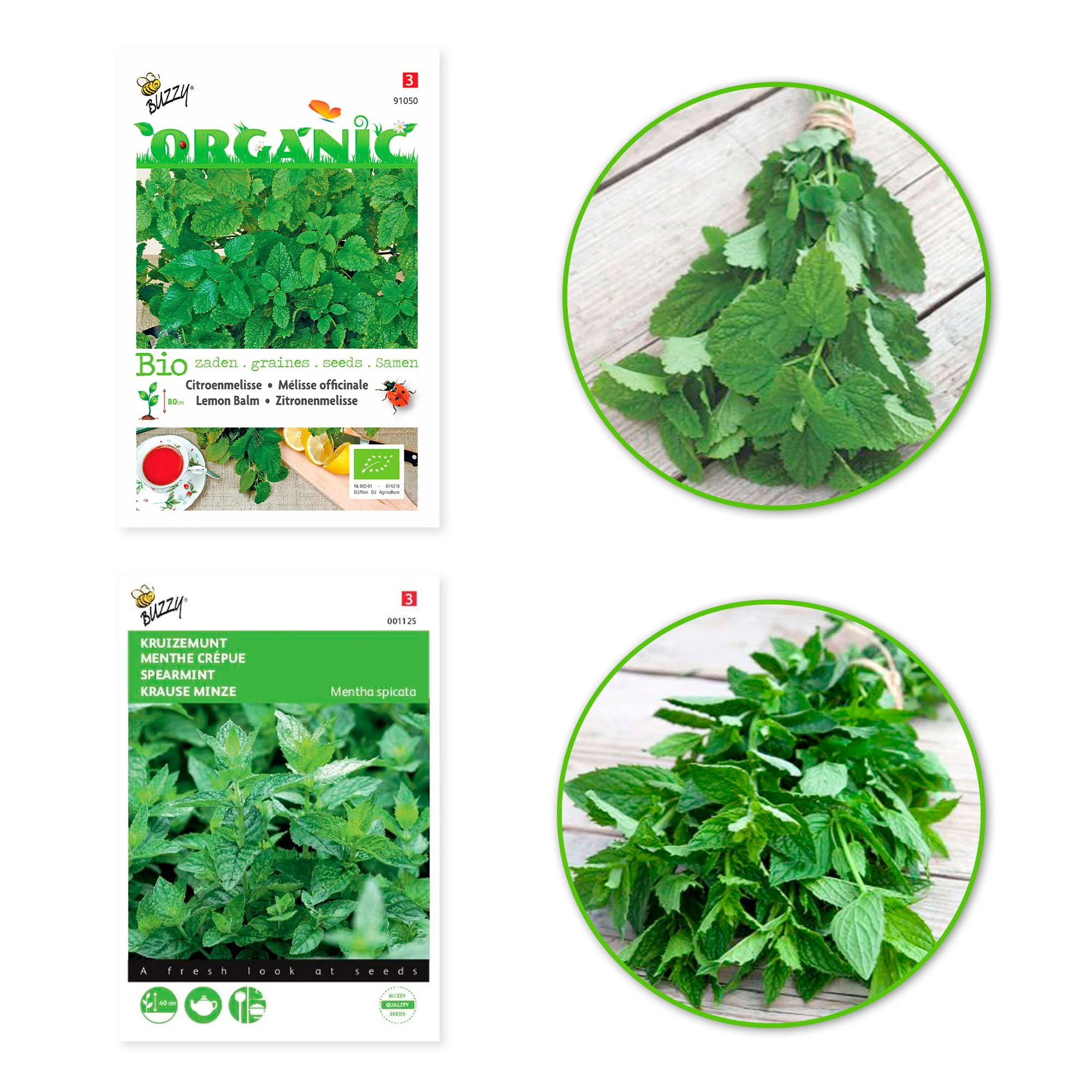 2x Pack d'herbes à tisane 'Tisane Tonique' - Semences d’herbes - Image 2