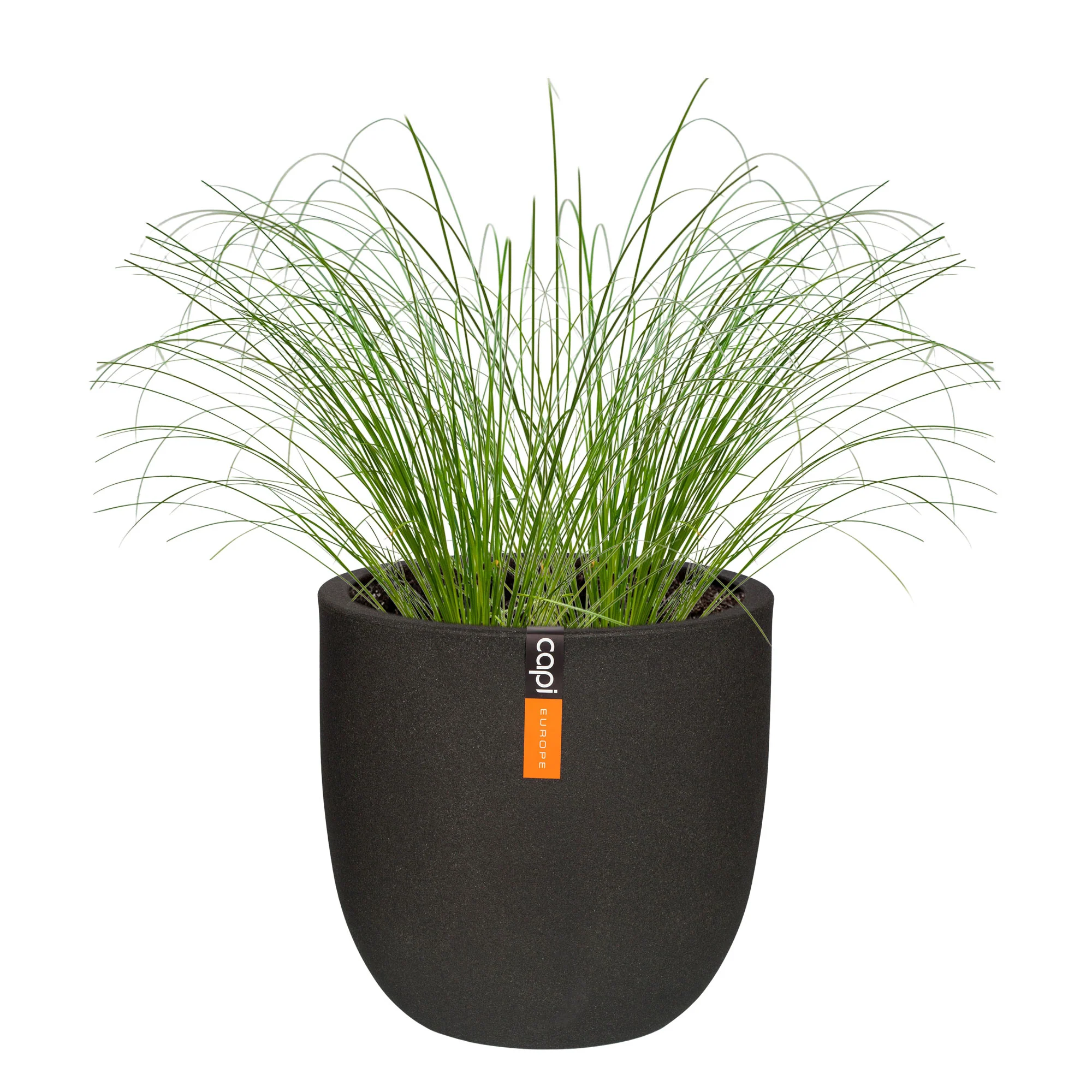 2x . 'Prairie Fire' vert-marron avec cache-pot - Image 5