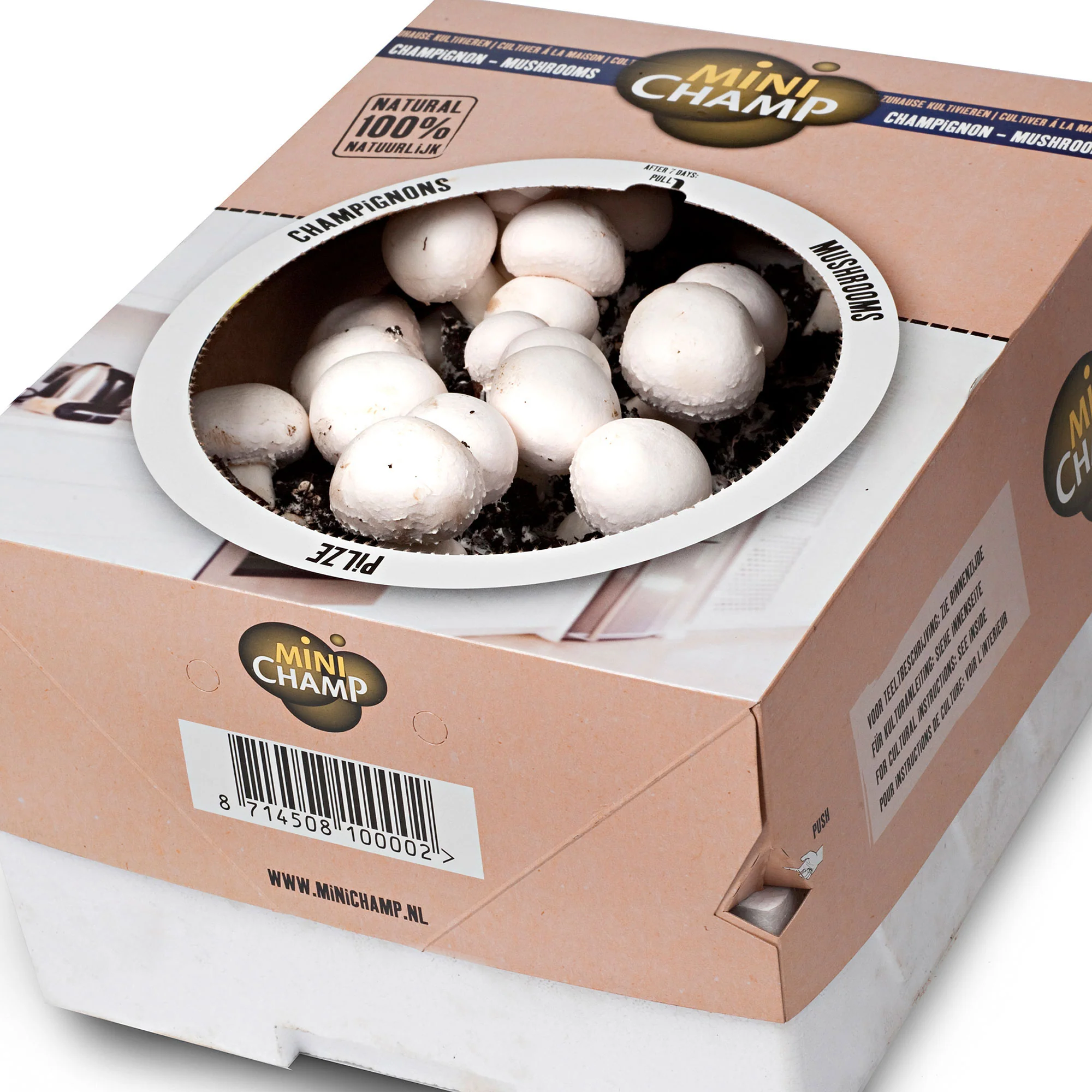2x Set de culture de champignons 'Albidus' + 'Avellaneus' - Bio - Image 4