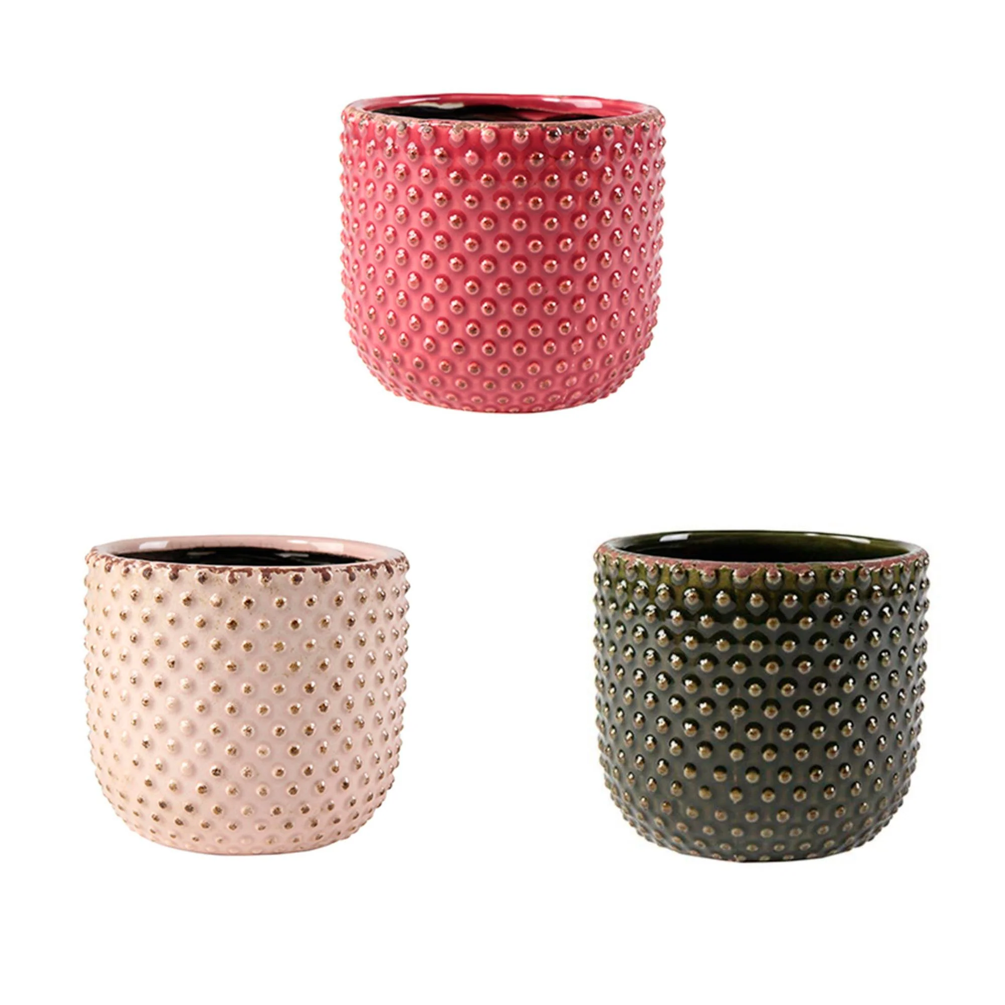 3x Caladium - Mélange rose avec 3x cache-pot - Image 3