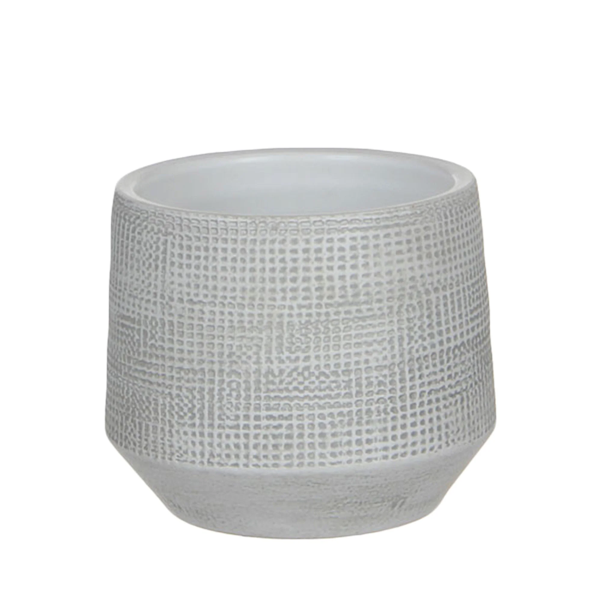 4x Fougère purificatrice d'air - Mélange incl. cache-pots - Image 3