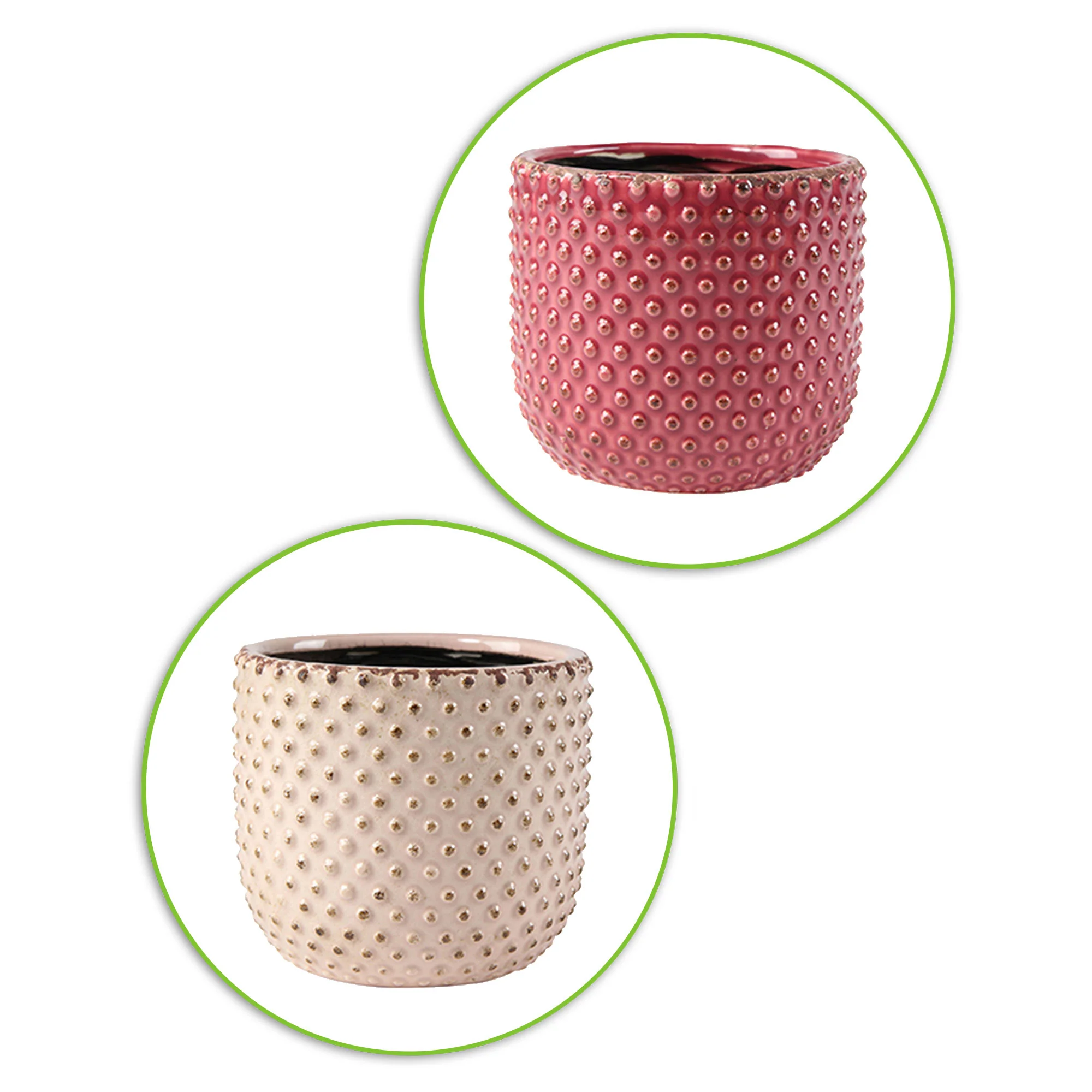 4x Plantes purificatrices d'air - Mélange 'Gezond Groen' Avec cache-pots - Image 4