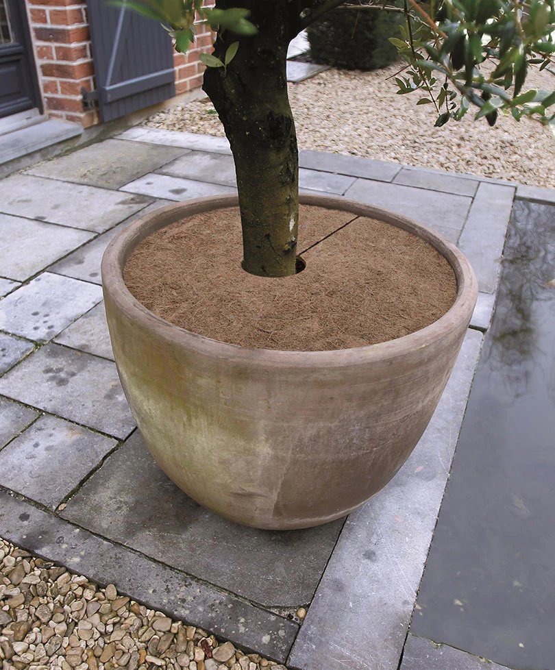 6x Disque de protection pour plantes - Nature - Image 3
