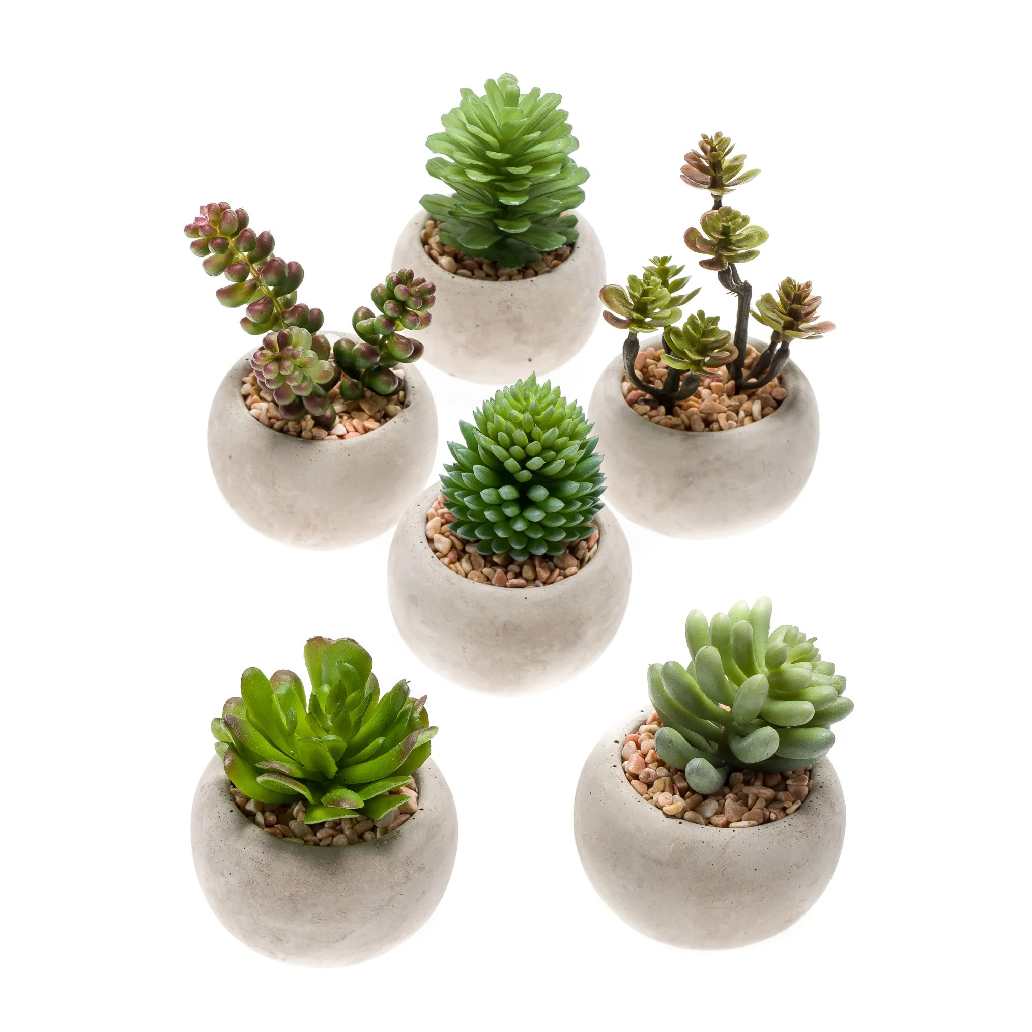 6x Plante artificielle Succulents - Mélange avec cache-pot en béton - Image 2