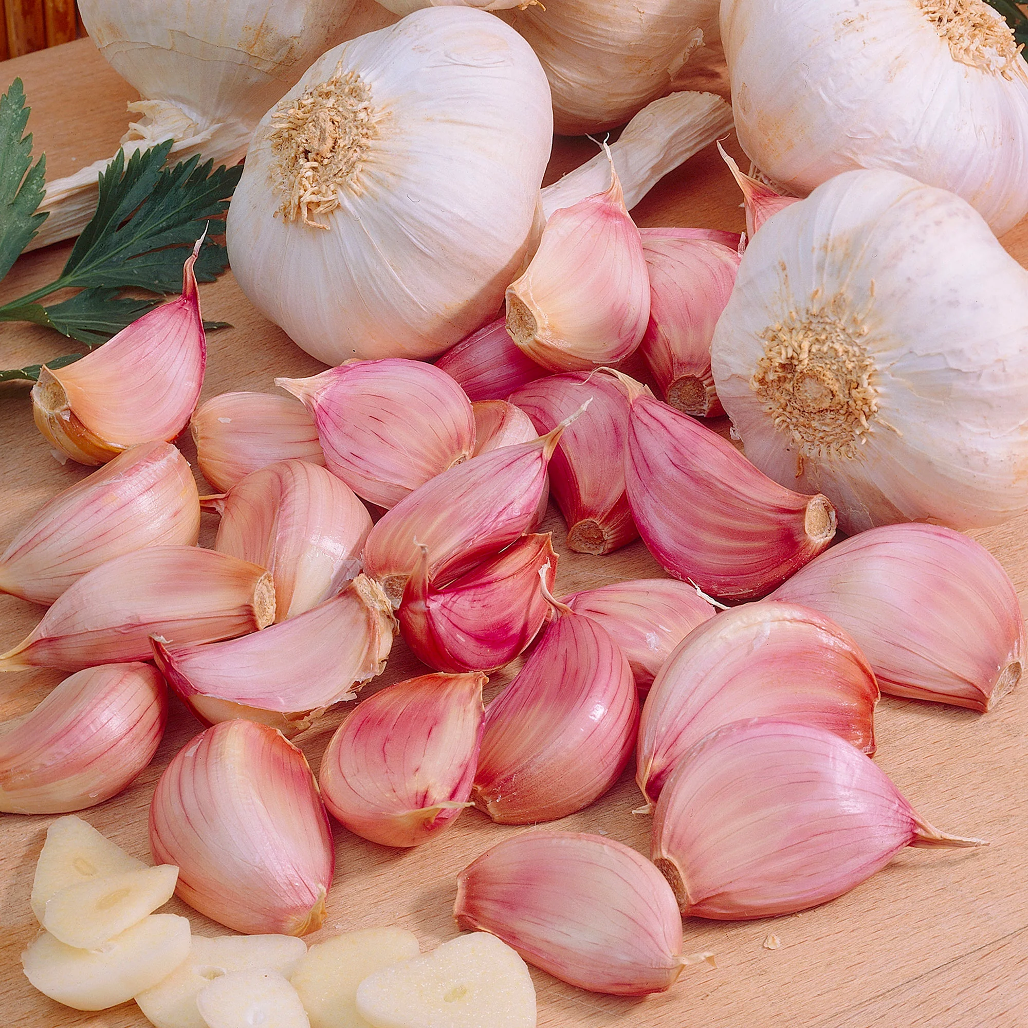 Ail Allium 'White Casablanca' - Image 3