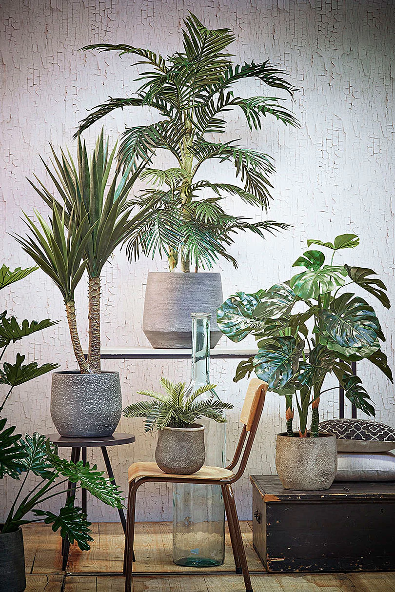 Areca artificiel incl. cache-pot rond en plastique - Image 4