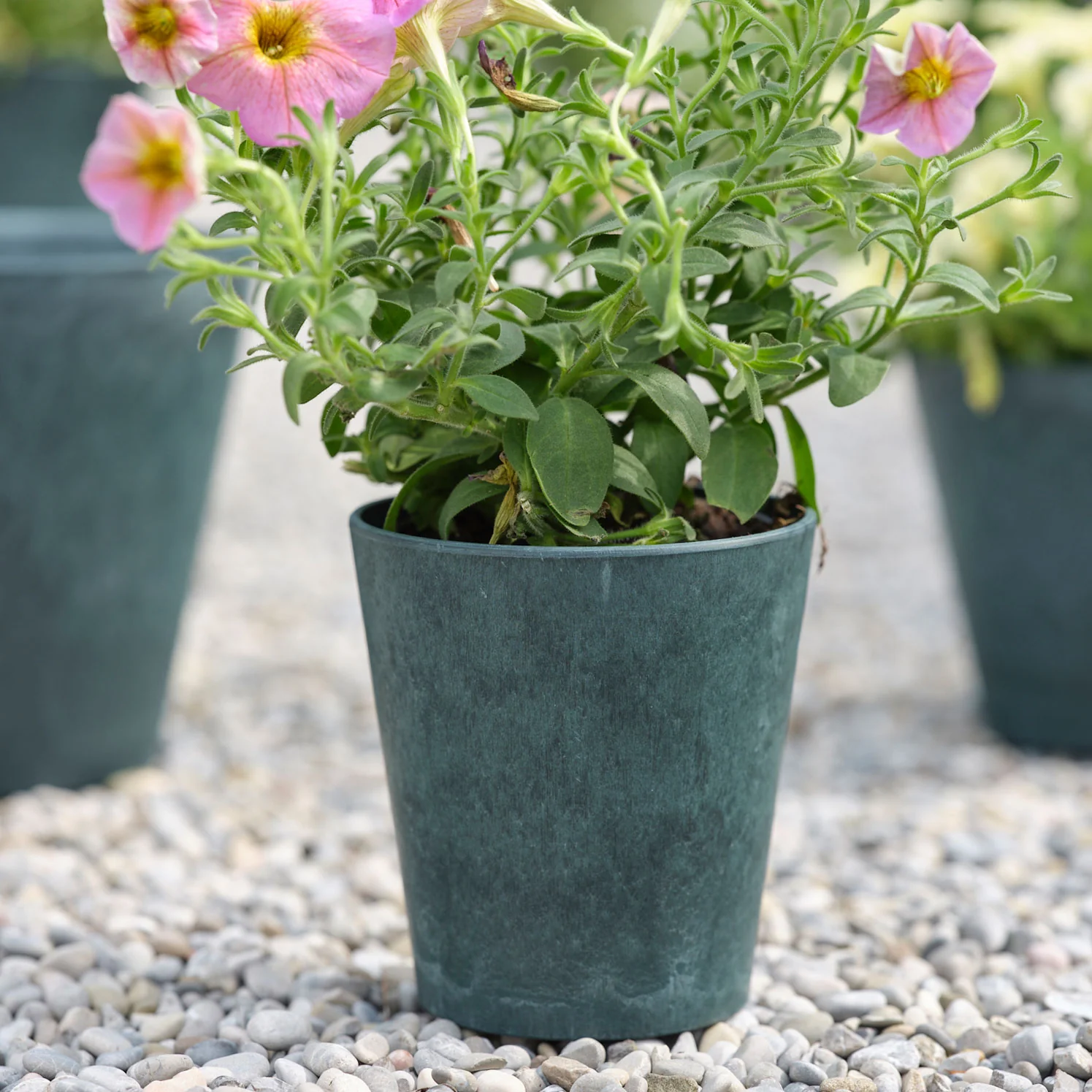 Artstone pot de fleurs Claire rond bleu - Pot pour l'intérieur et l'extérieur - Image 3