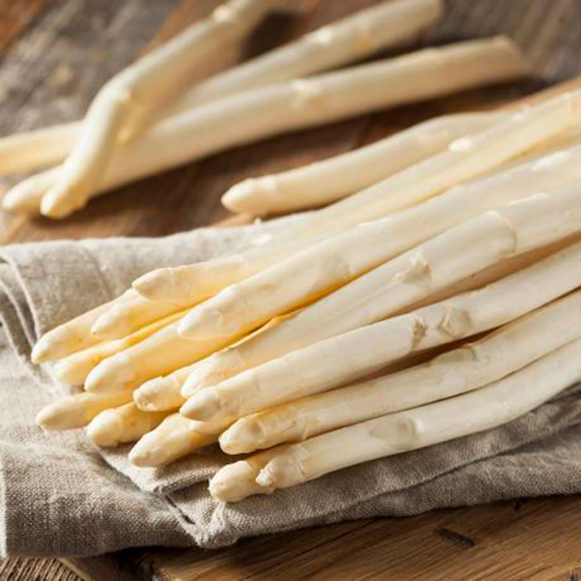 Asperge blanche Asparagus 'Vitalim' - Image 3
