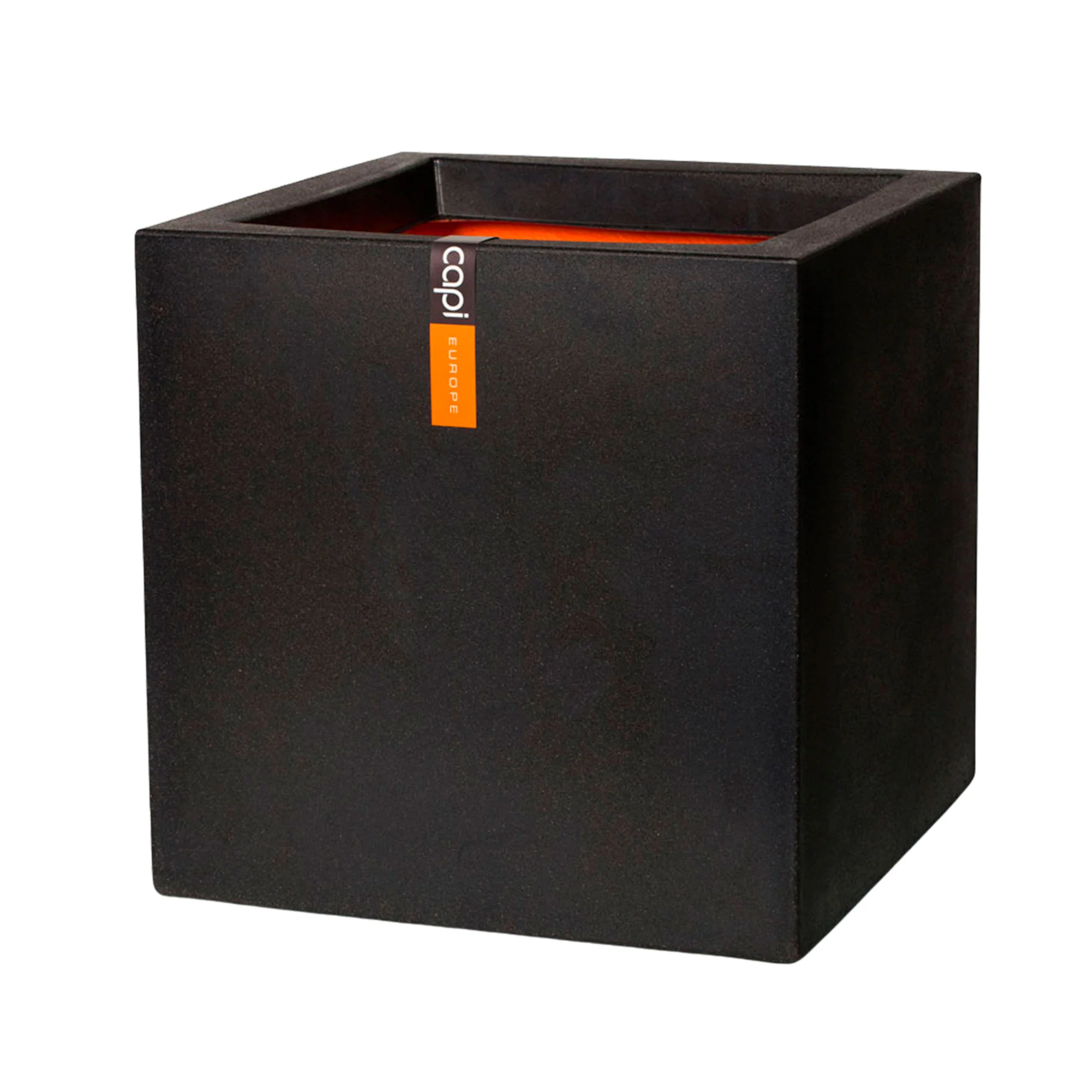 Bambou Fargesia rufa avec pot décoratif - Image 3