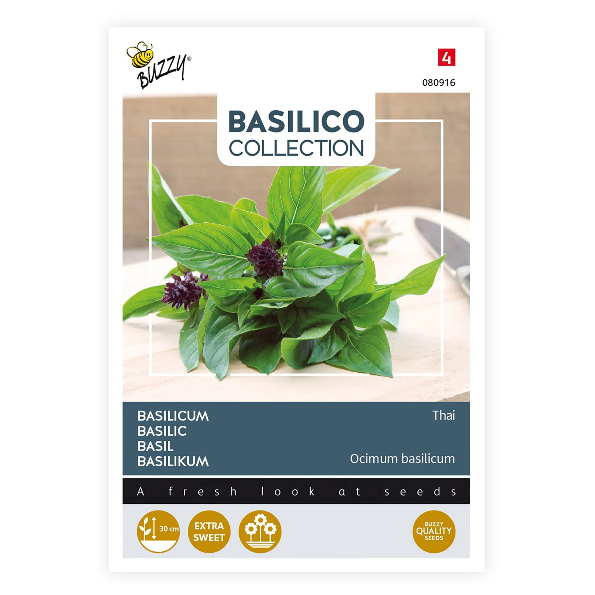 Basilic thaï Ocimum 10 m² - Semences d’herbes - Image 3
