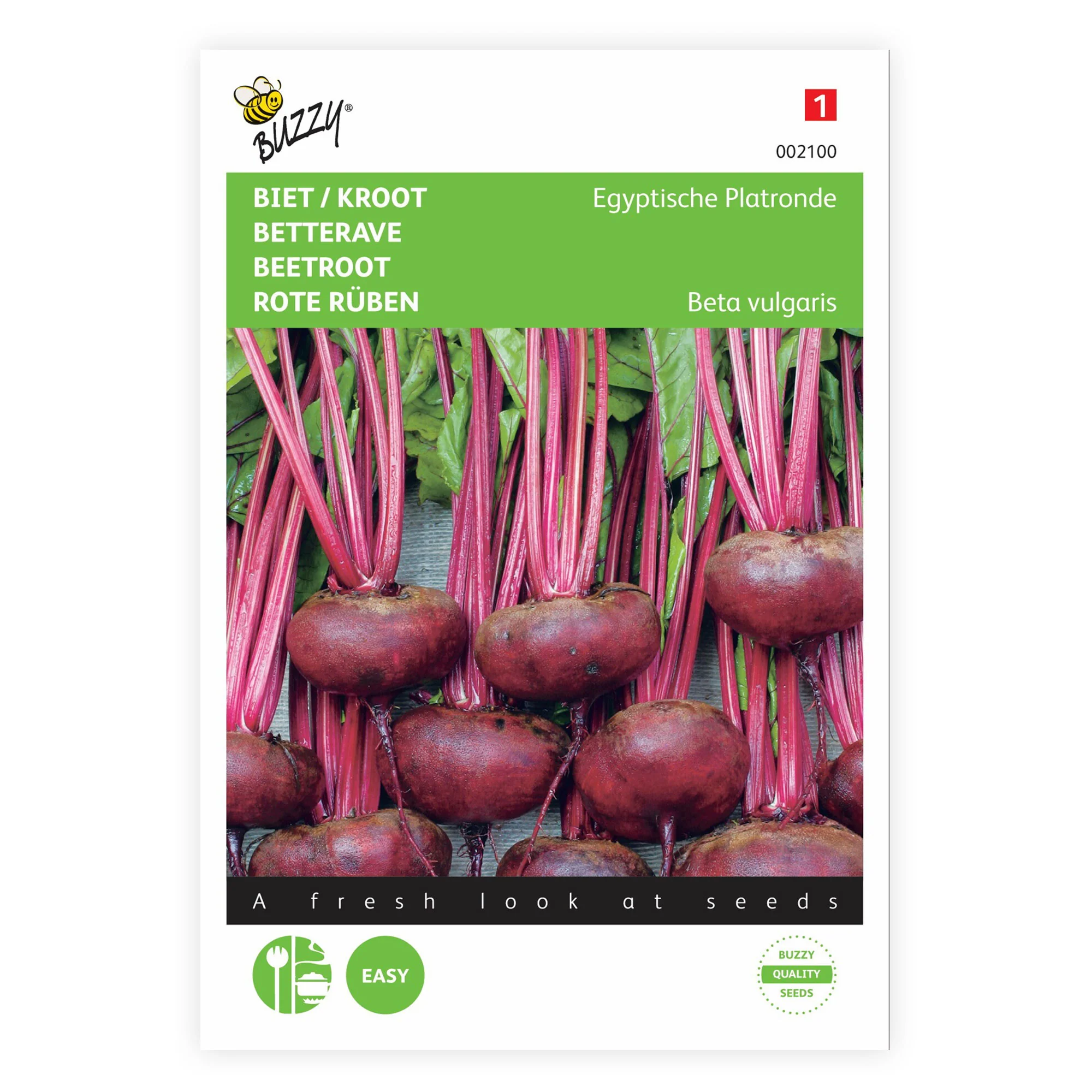 Betterave rouge Beta 'Egypt' 5 m² - Semences de légumes - Image 4