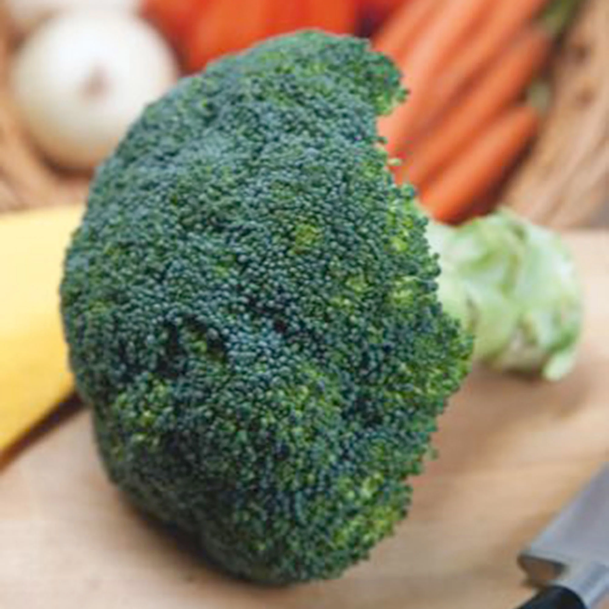 Brocoli Brassica 'Calabrese Natalino' - Bio 30 m² - Semences de légumes - Image 2