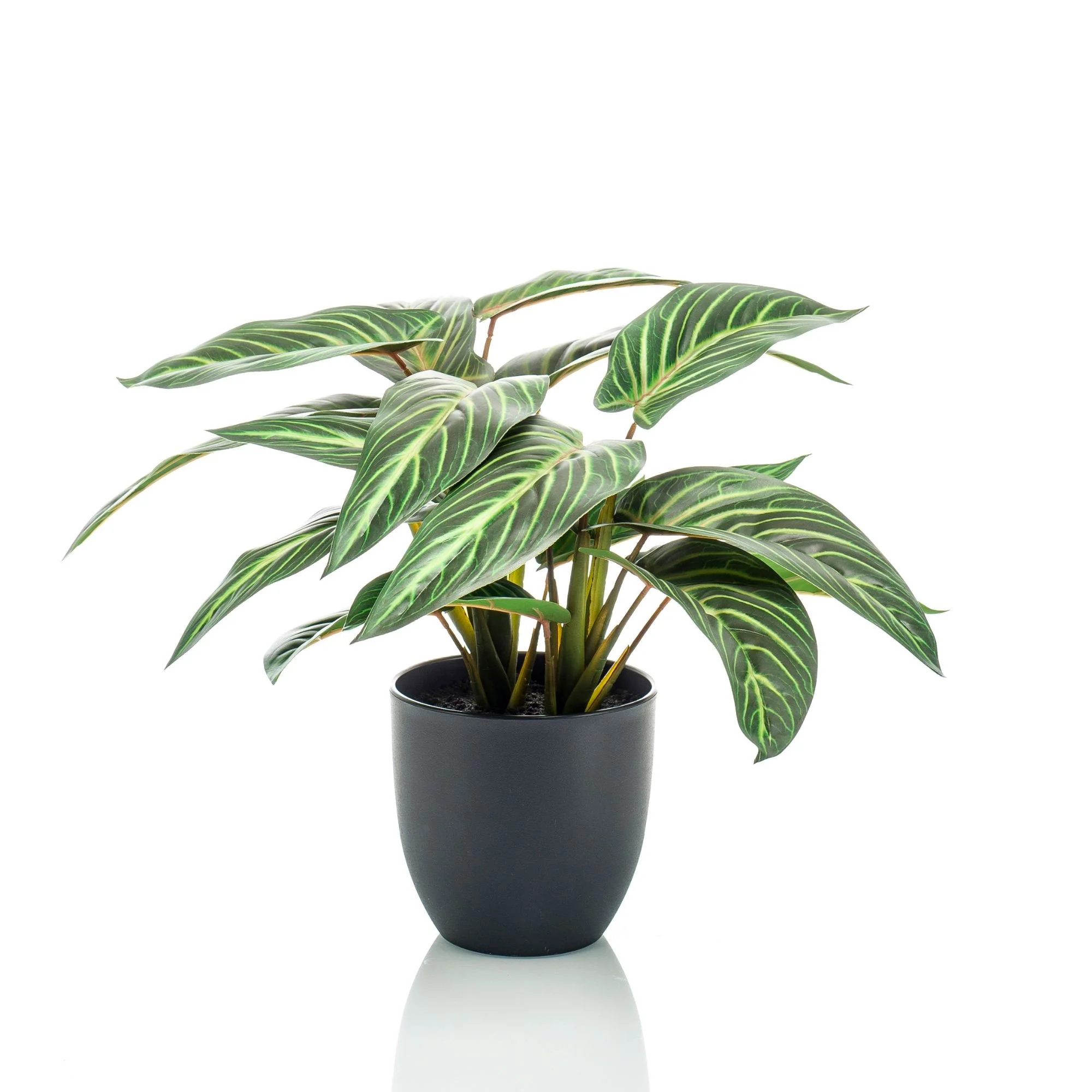 Calathea zebrina artificiel avec pot décoratif