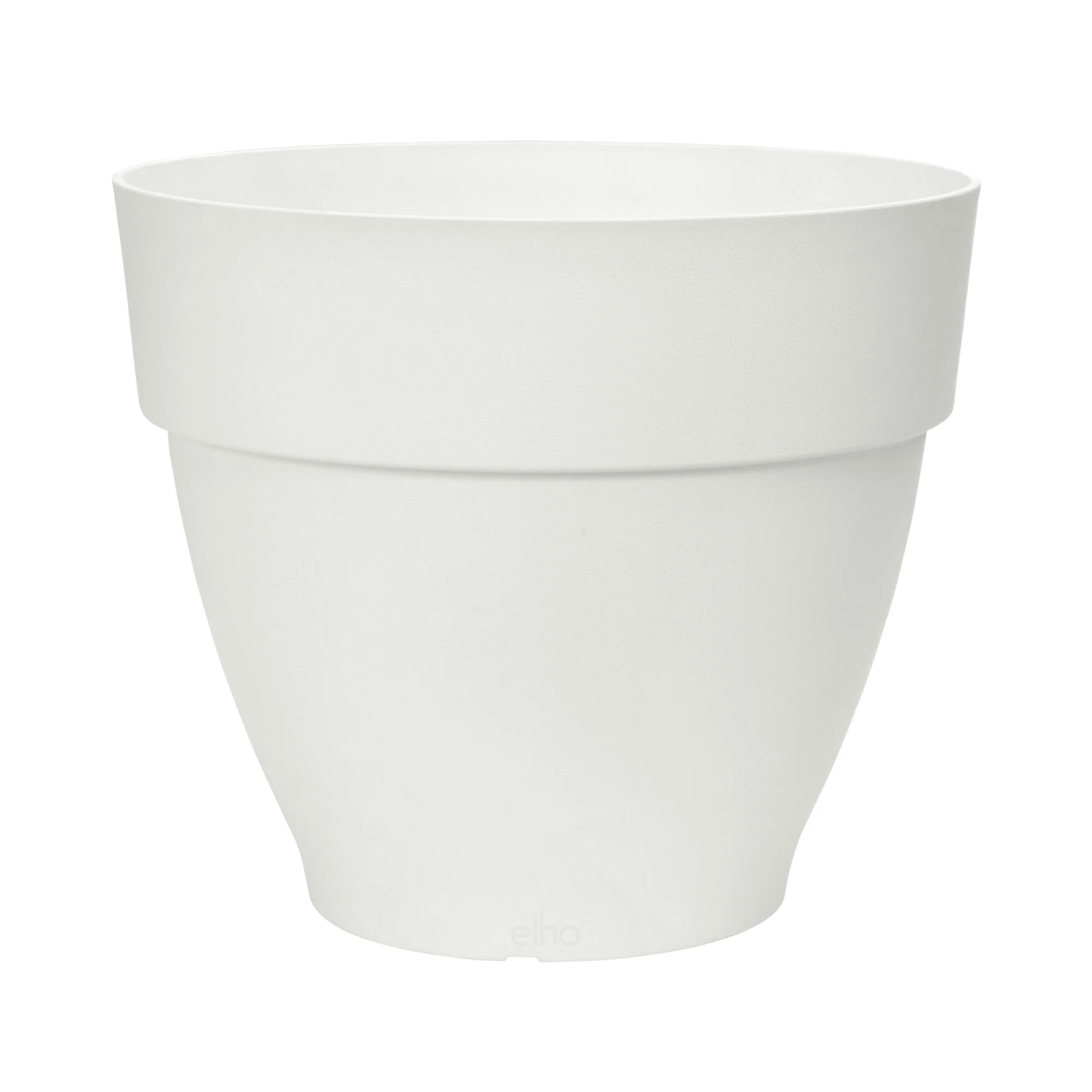 Camellia 'Festival' blanc-rose-rouge incl. cache-pot - Image 2