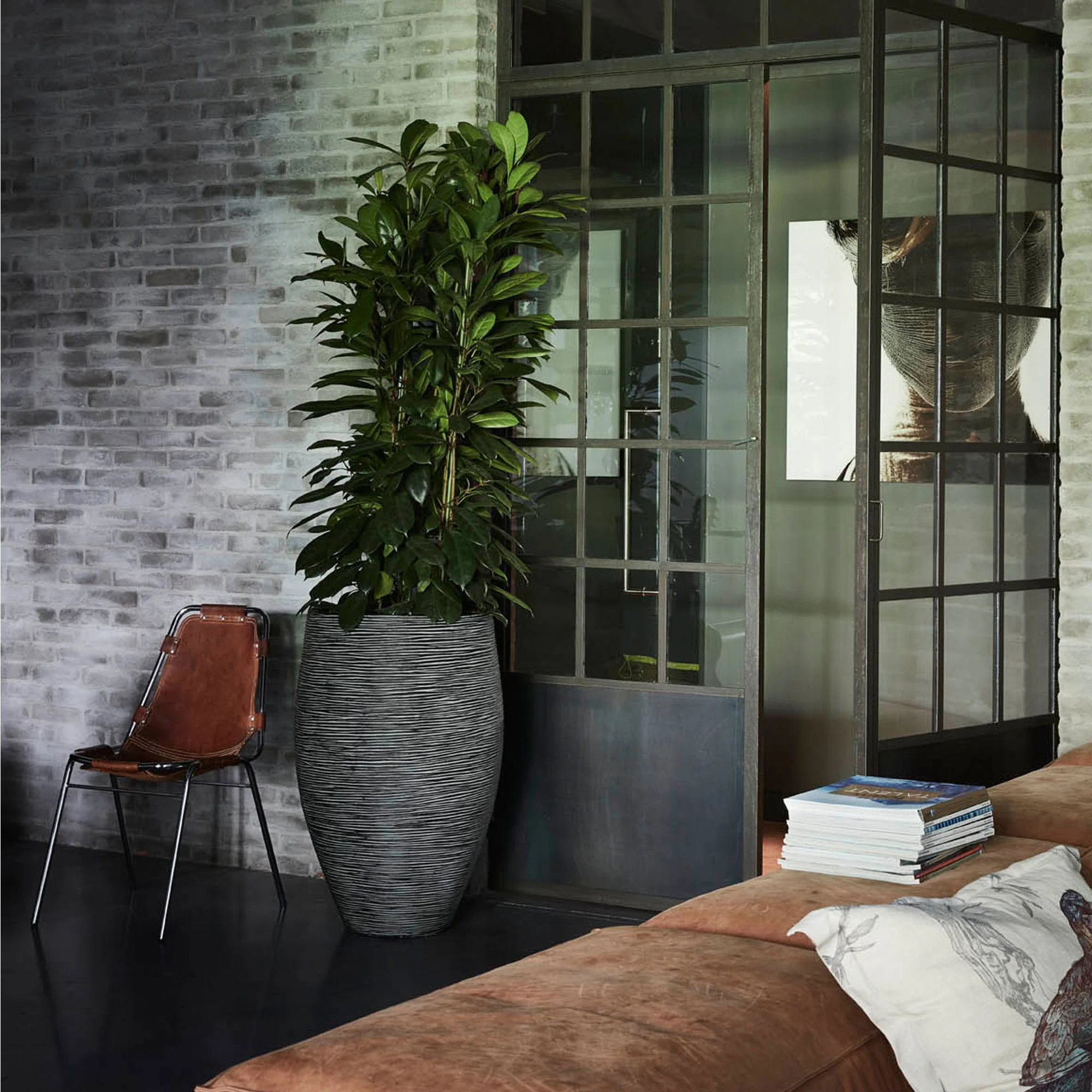 Capi Nature rib rond noir - Pot pour l'intérieur et l'extérieur - Image 2