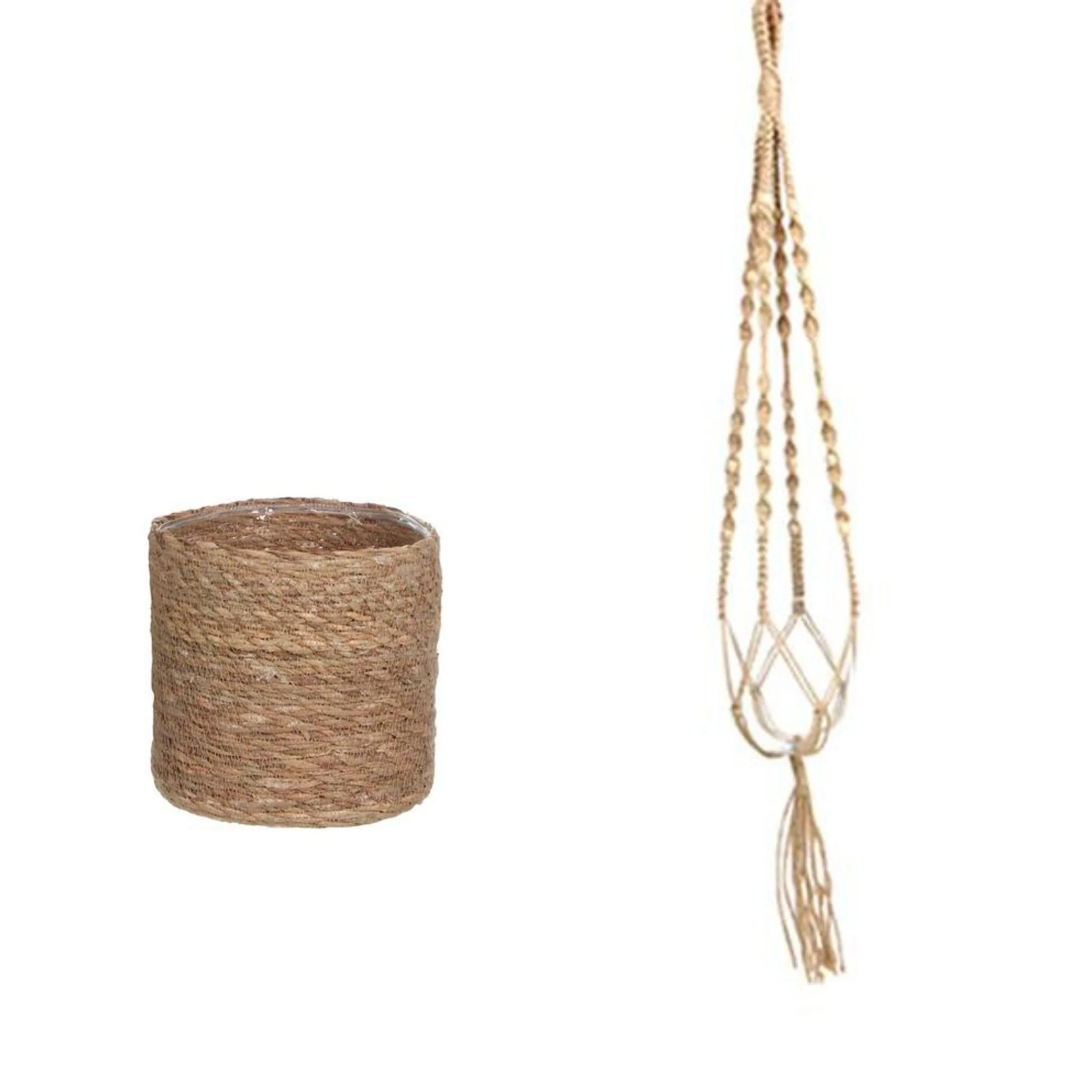 Chaîne des cœurs Ceropegia woodii avec panier en crin végétal et suspension macramé - Plante suspendue - Image 3