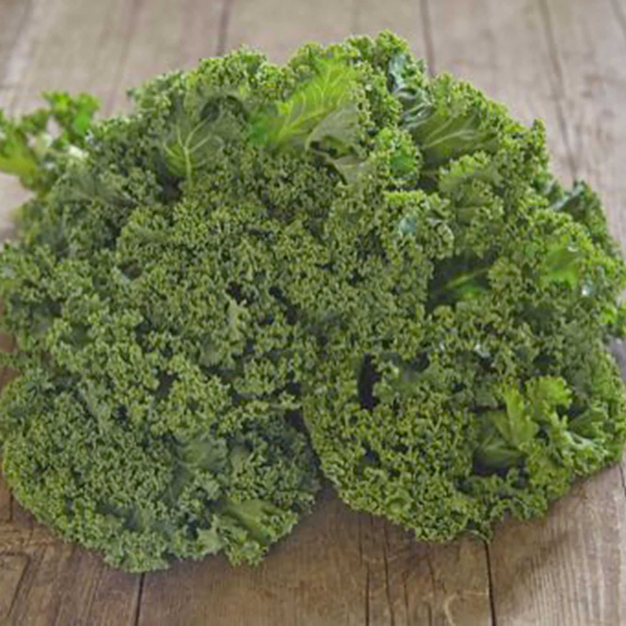 Chou frisé Brassica 'Westlandse Winter' - Biologique 40 m² - Semences de légumes - Image 2
