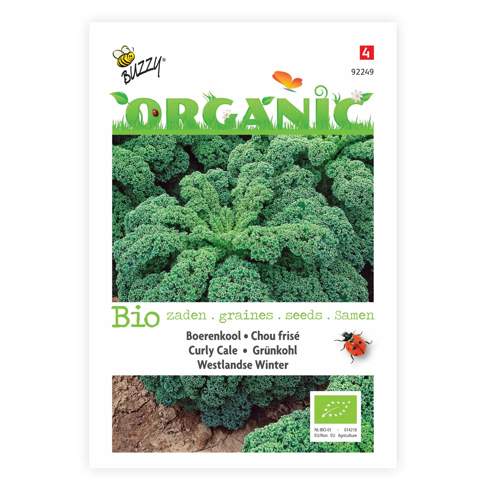 Chou frisé Brassica 'Westlandse Winter' - Biologique 40 m² - Semences de légumes - Image 3