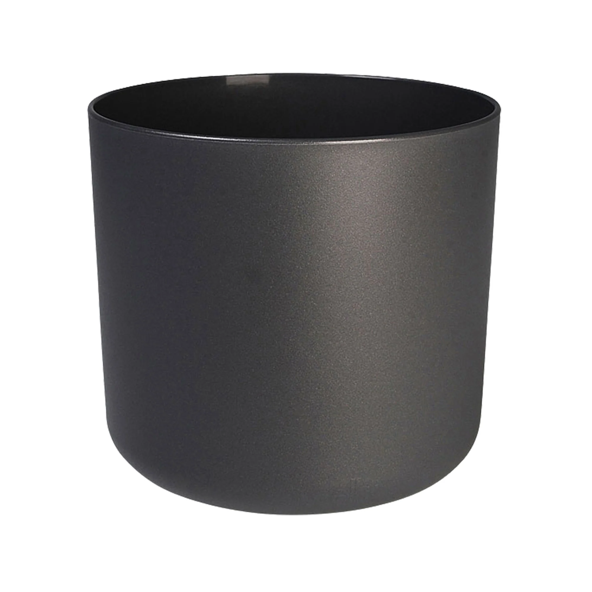 Cocotier Cocos nucifera avec pot décoratif - Image 5