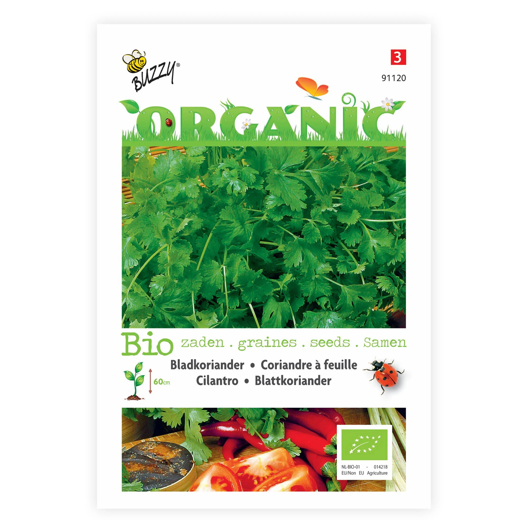 Coriandre Coriandrum sativum - Biologique 4 m² - Semences d’herbes - Image 2