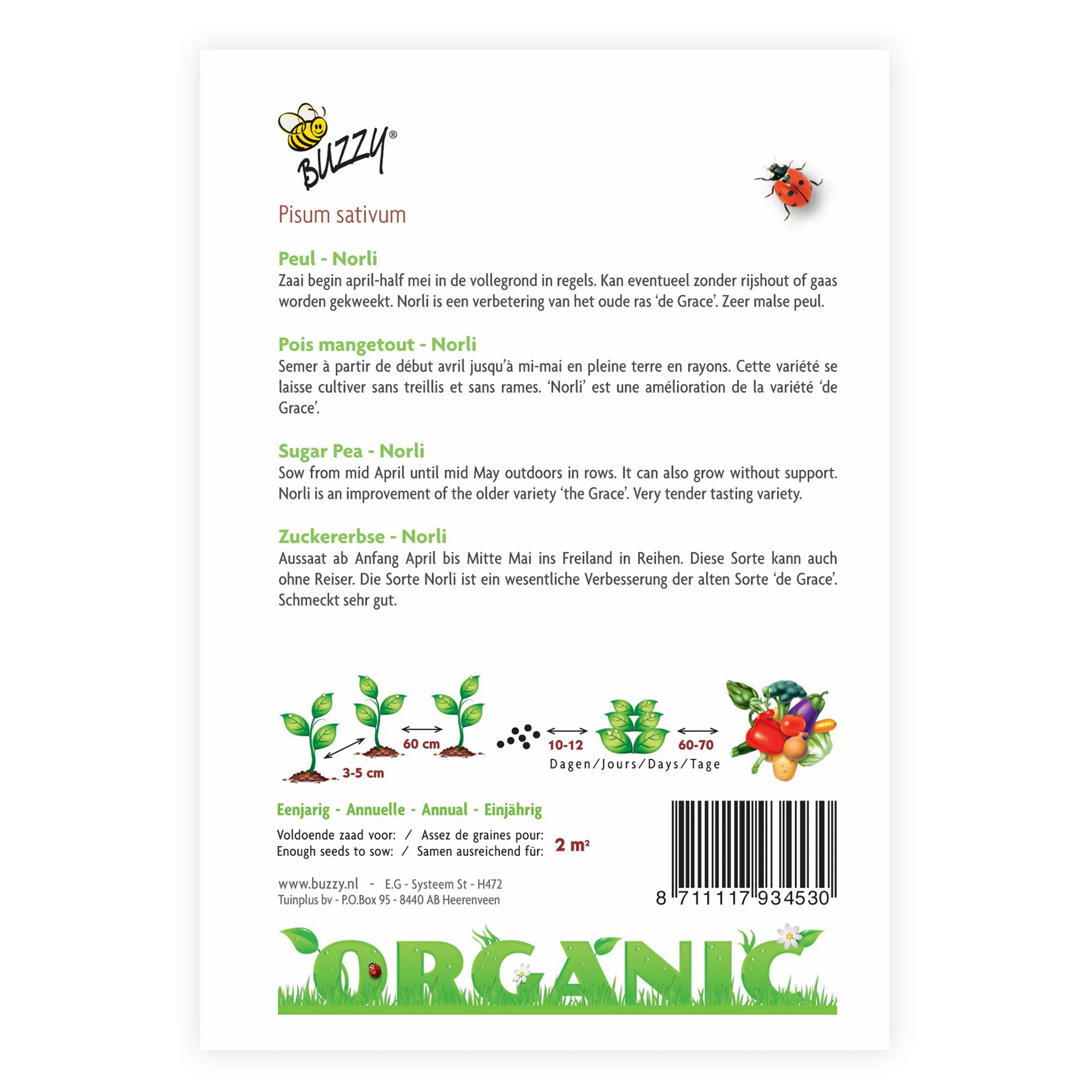 Cosses Pisum 'Norli' - Biologique 2 m² - Semences de légumes - Image 2