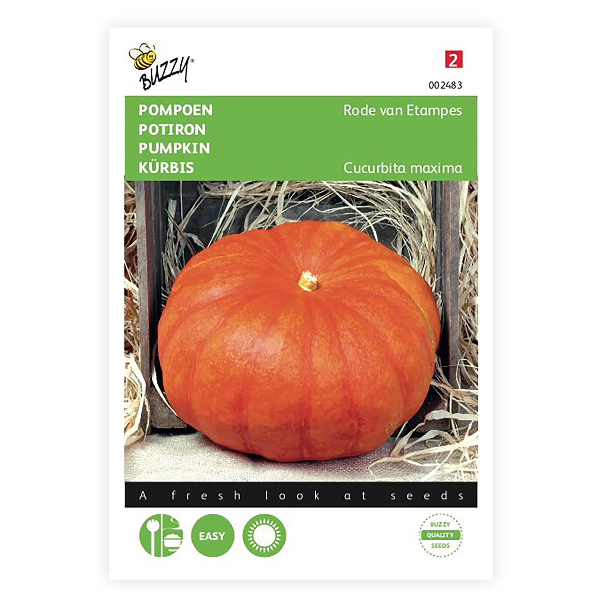 Courge Cucurbita 'Rode van d'Etampes' rouge 6 m² - Semences de légumes - Image 3