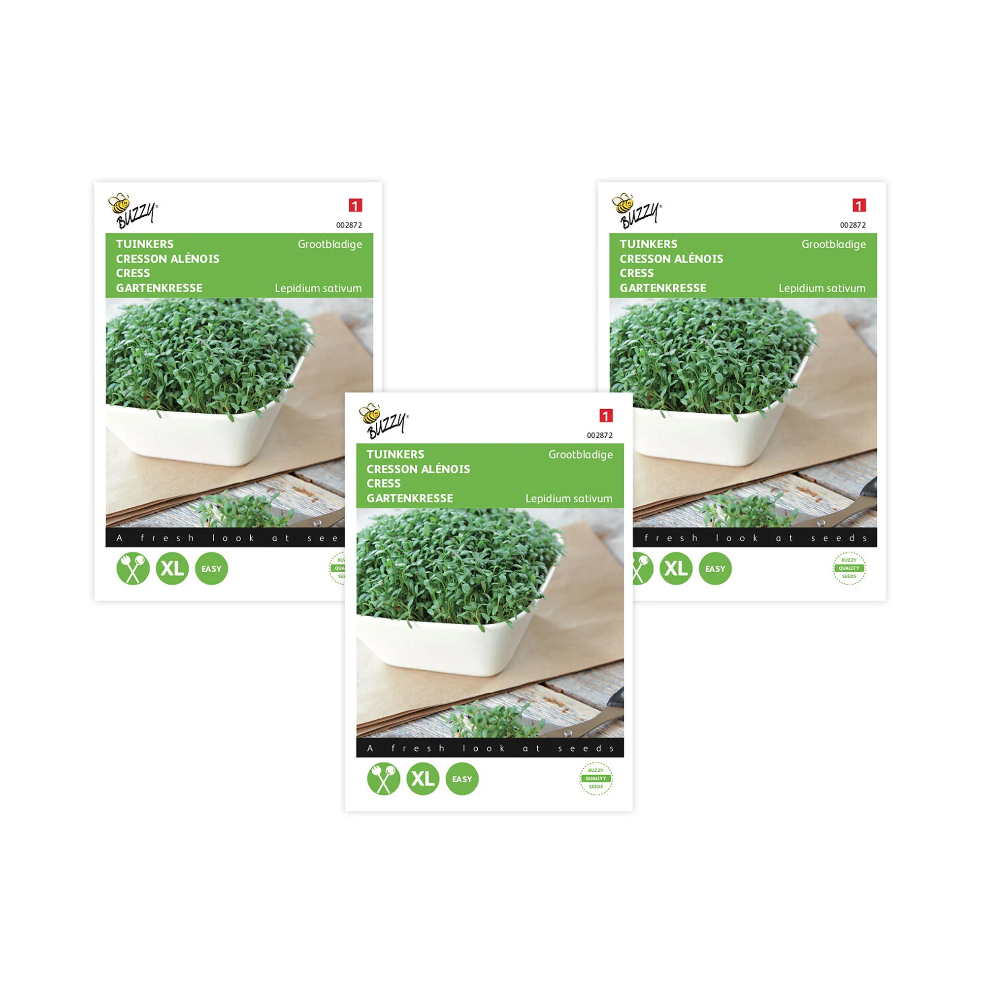 Cresson à grandes feuilles Lepidium sativum 6 m² - Semences d’herbes - Image 5