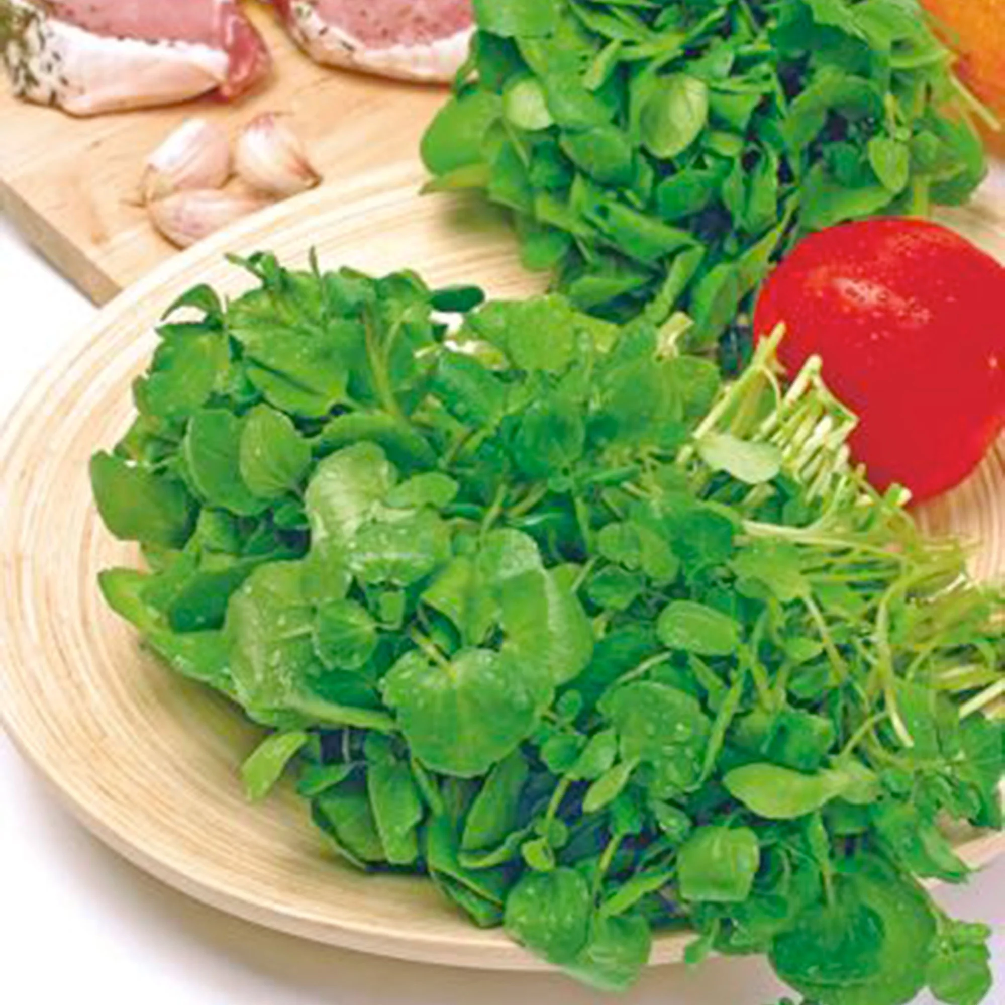 Cresson Nasturtium officinale - Biologique 10 m² - Semences d’herbes