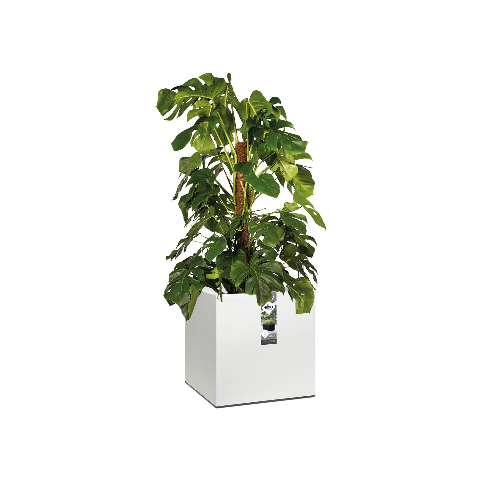 Elho bac à plantes Vivo Matt Finish carré blanc avec roues - Pot pour l'intérieur et l'extérieur - Image 3