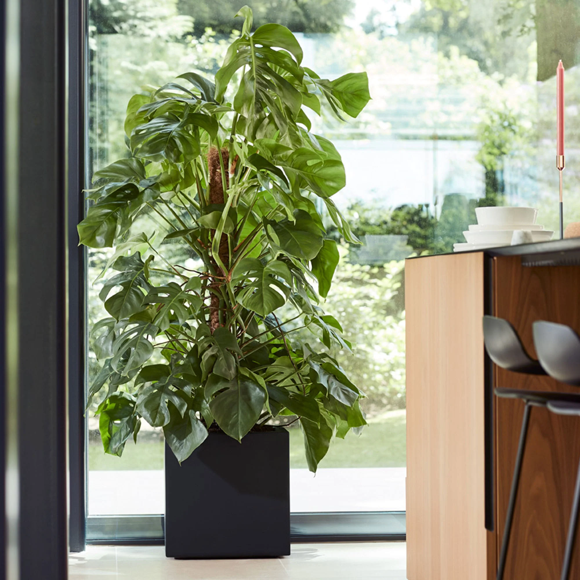 Elho bac à plantes Vivo next Matt Finish - avec roues - Noir l'Intérieur et l'extérieur - Image 2