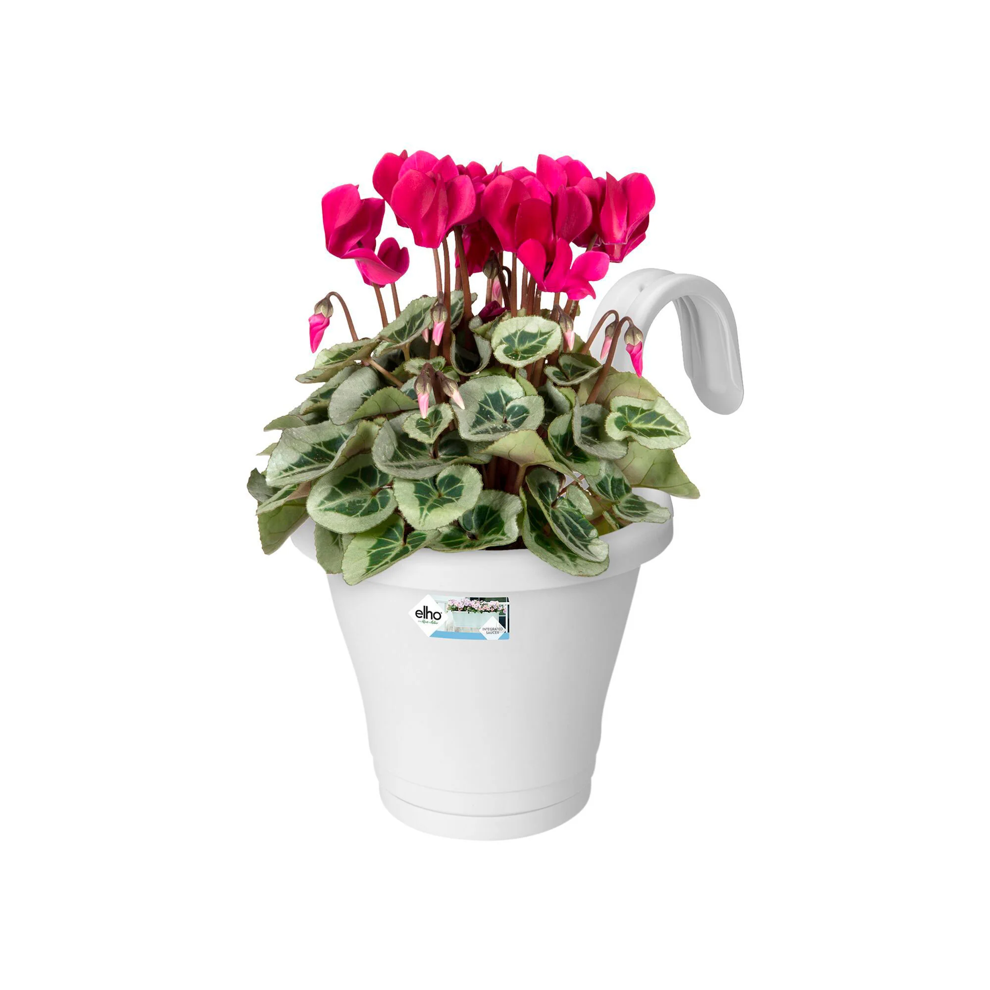 Elho jardinière Corsica flower bridge rond blanc - Pot pour l'extérieur - Image 3