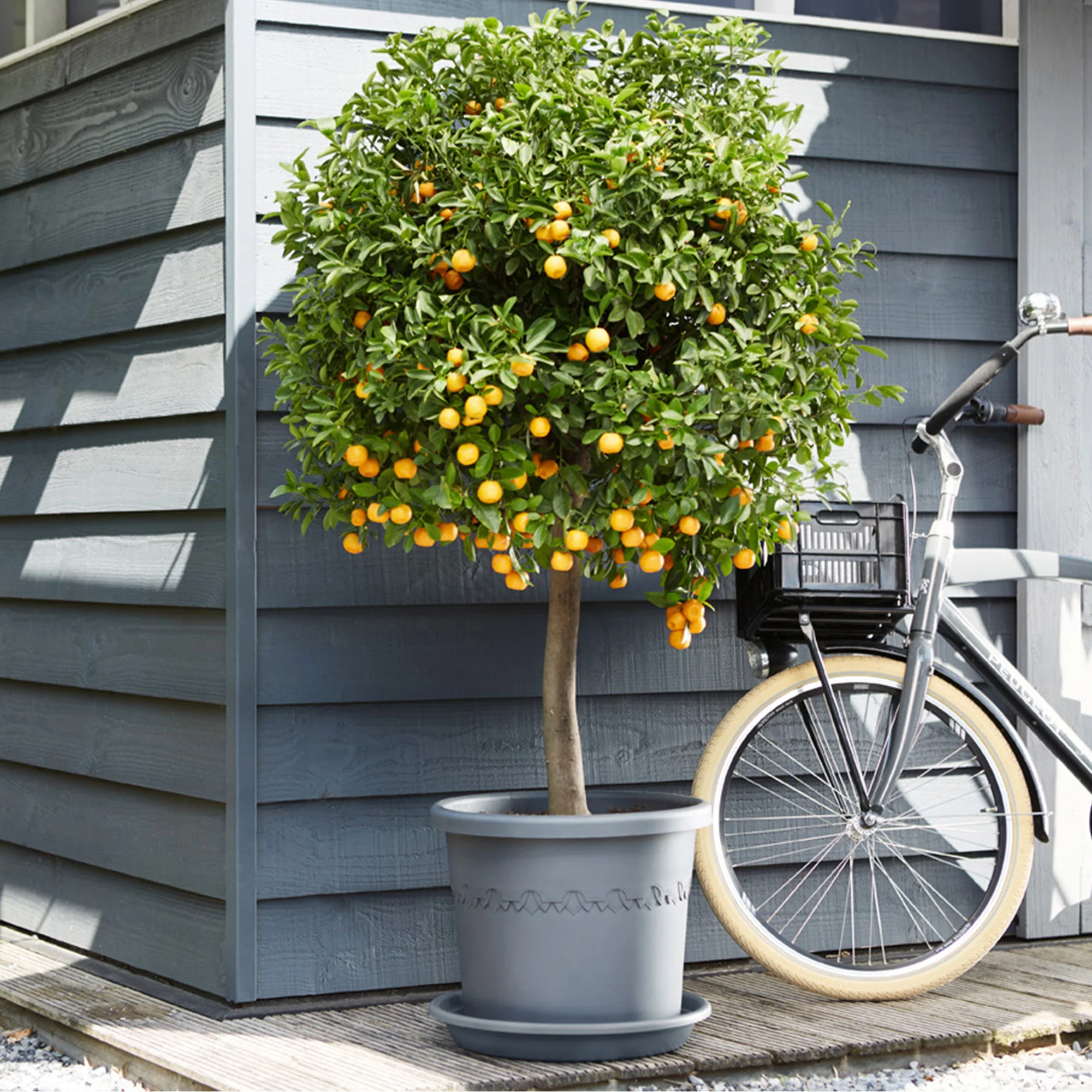 Elho pot de fleurs Algarve cilindro rond anthracite avec roues - Pot pour l'extérieur