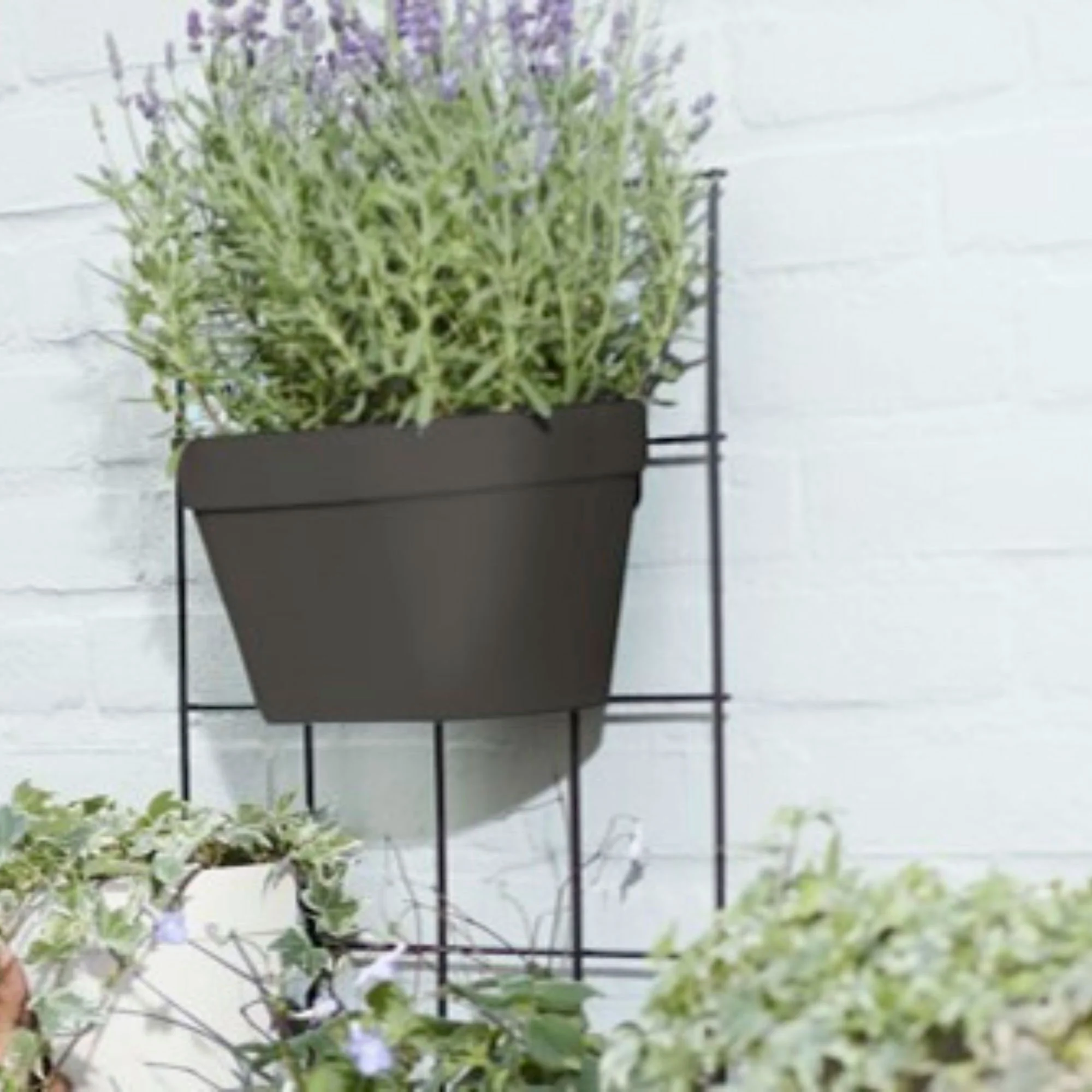 Elho pot de fleurs Loft urban Green wall duo ovale anthracite - Pot pour l'extérieur - Image 2