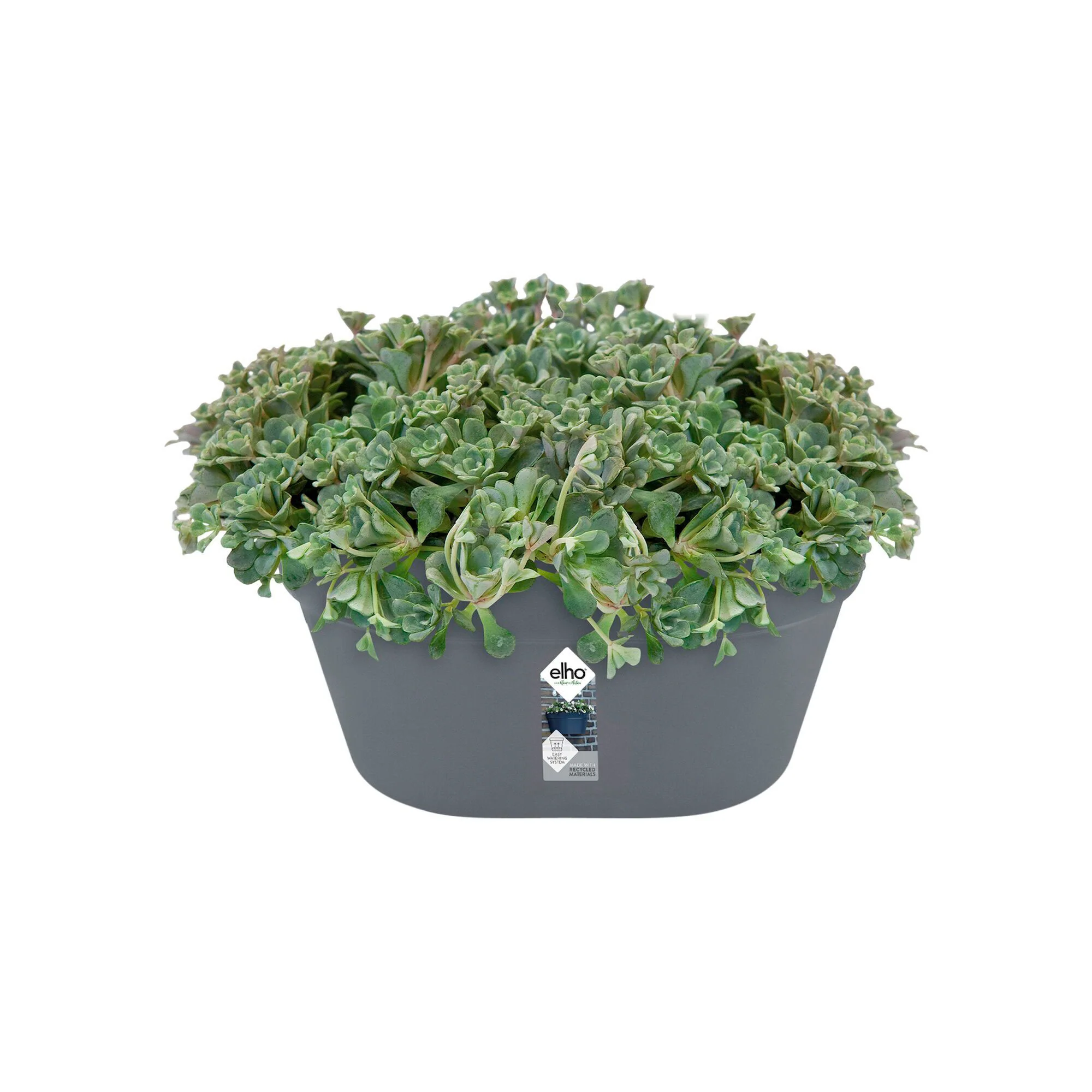 Elho pot de fleurs Loft urban Green wall duo ovale anthracite - Pot pour l'extérieur - Image 3