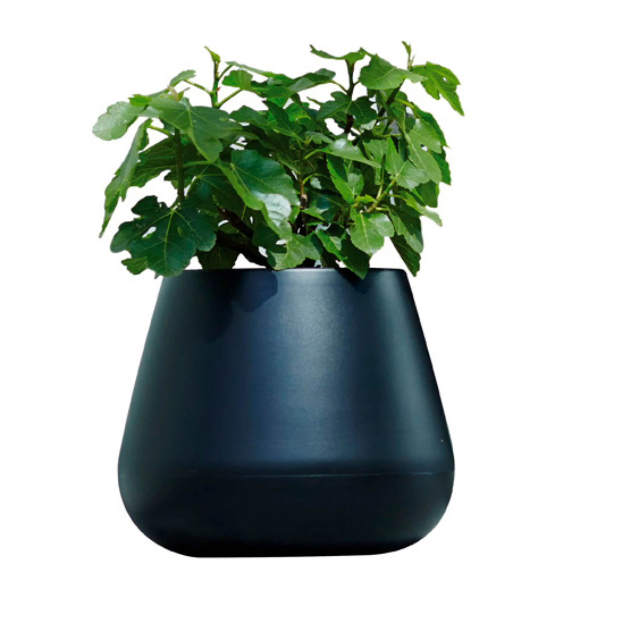 Elho pot de fleurs Pure cone rond noir - Pot pour l'intérieur et l'extérieur - Image 2