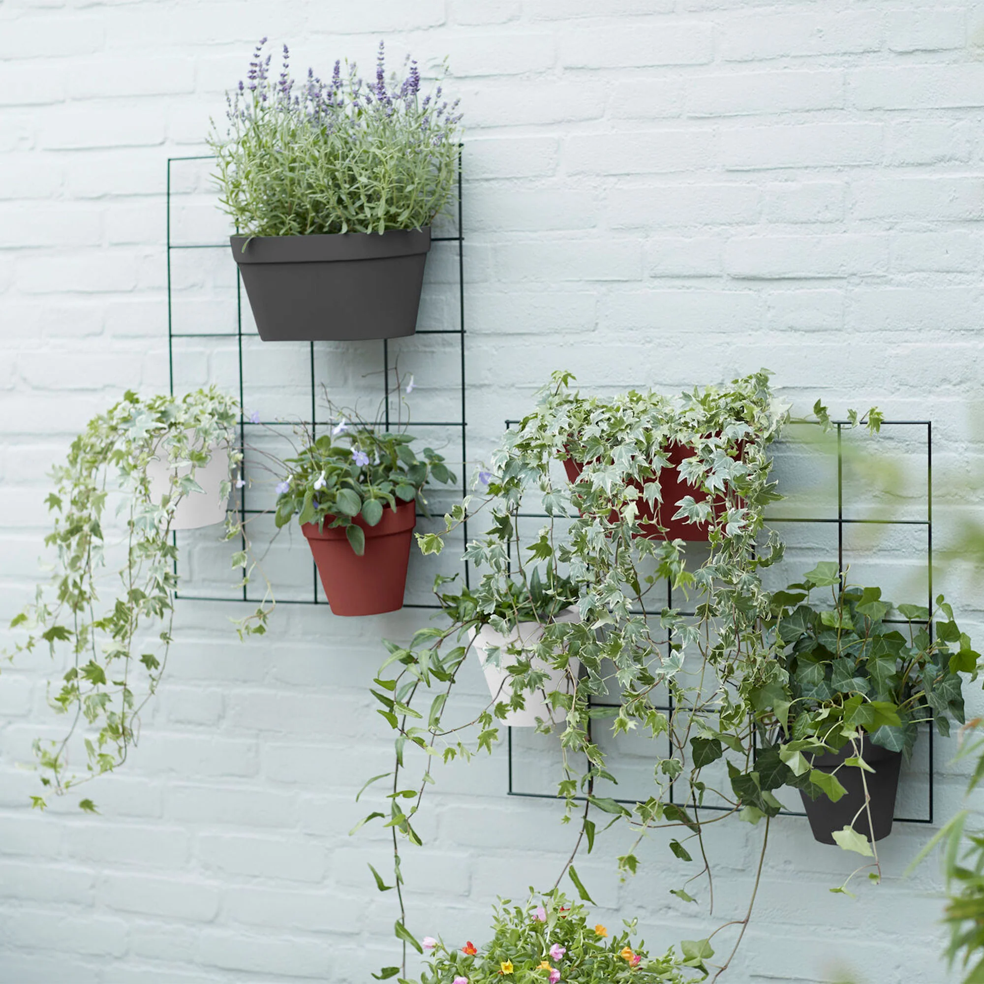 Elho Pot inclus. 'Loft urban Green wall ' ovale anthracite avec Support Elho - Pot pour l'extérieur - Image 2