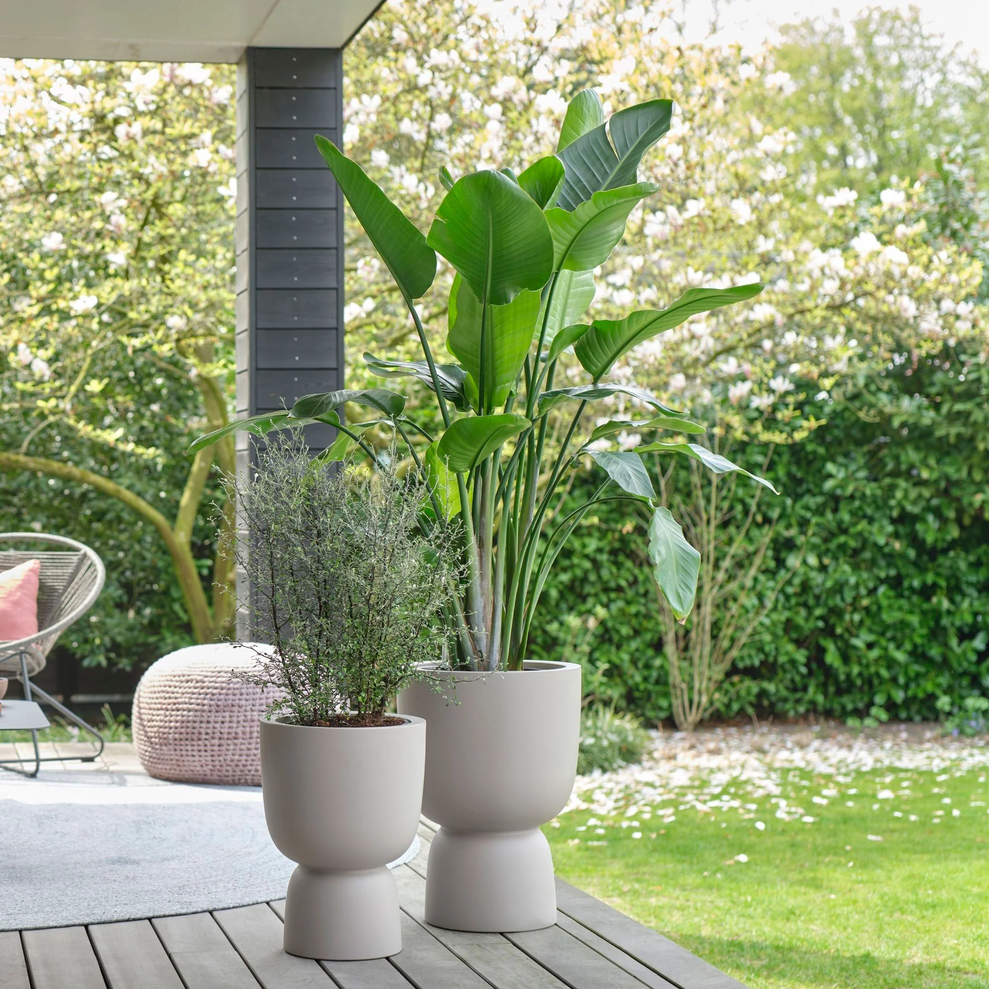Elho Pure Coupe Beige - Pot pour l'intérieur et l'extérieur Beige - Image 2