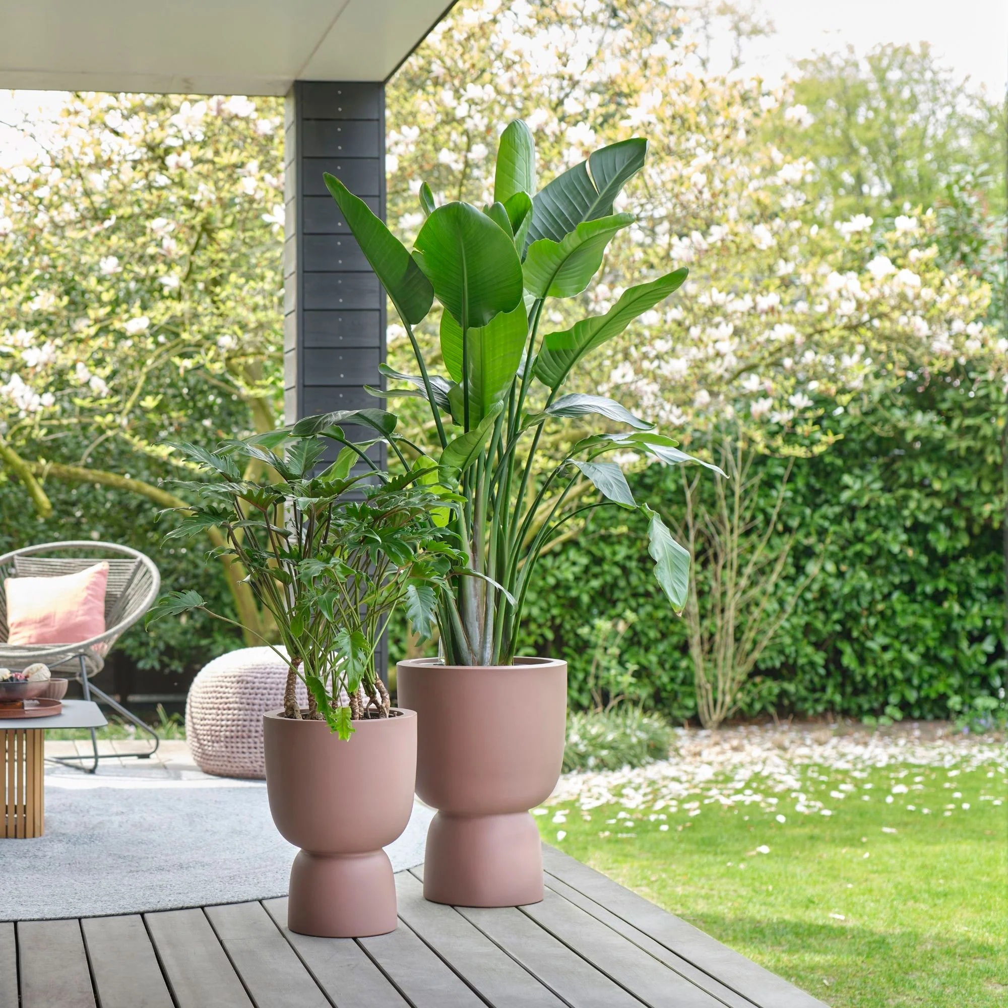 Elho Pure Coupe - Pot pour l'intérieur et l'extérieur Rose-Marron - Image 2