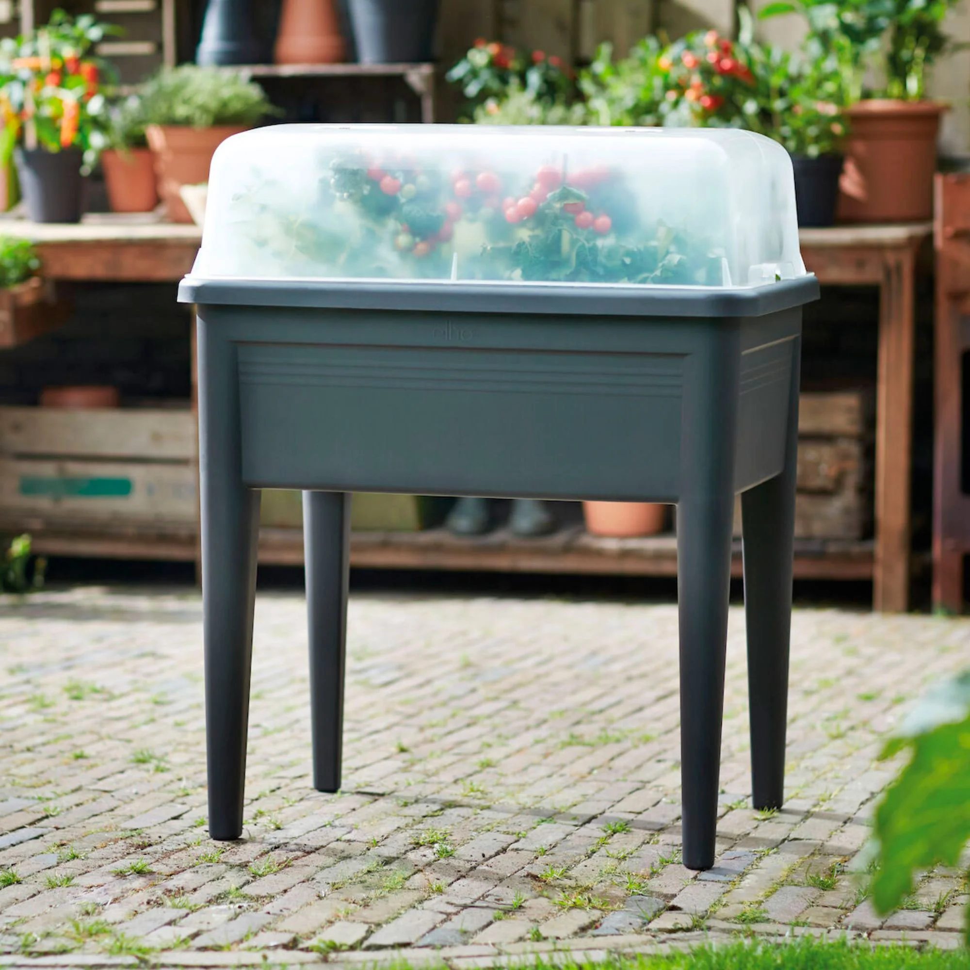 Elho Transparent lid - Image 2