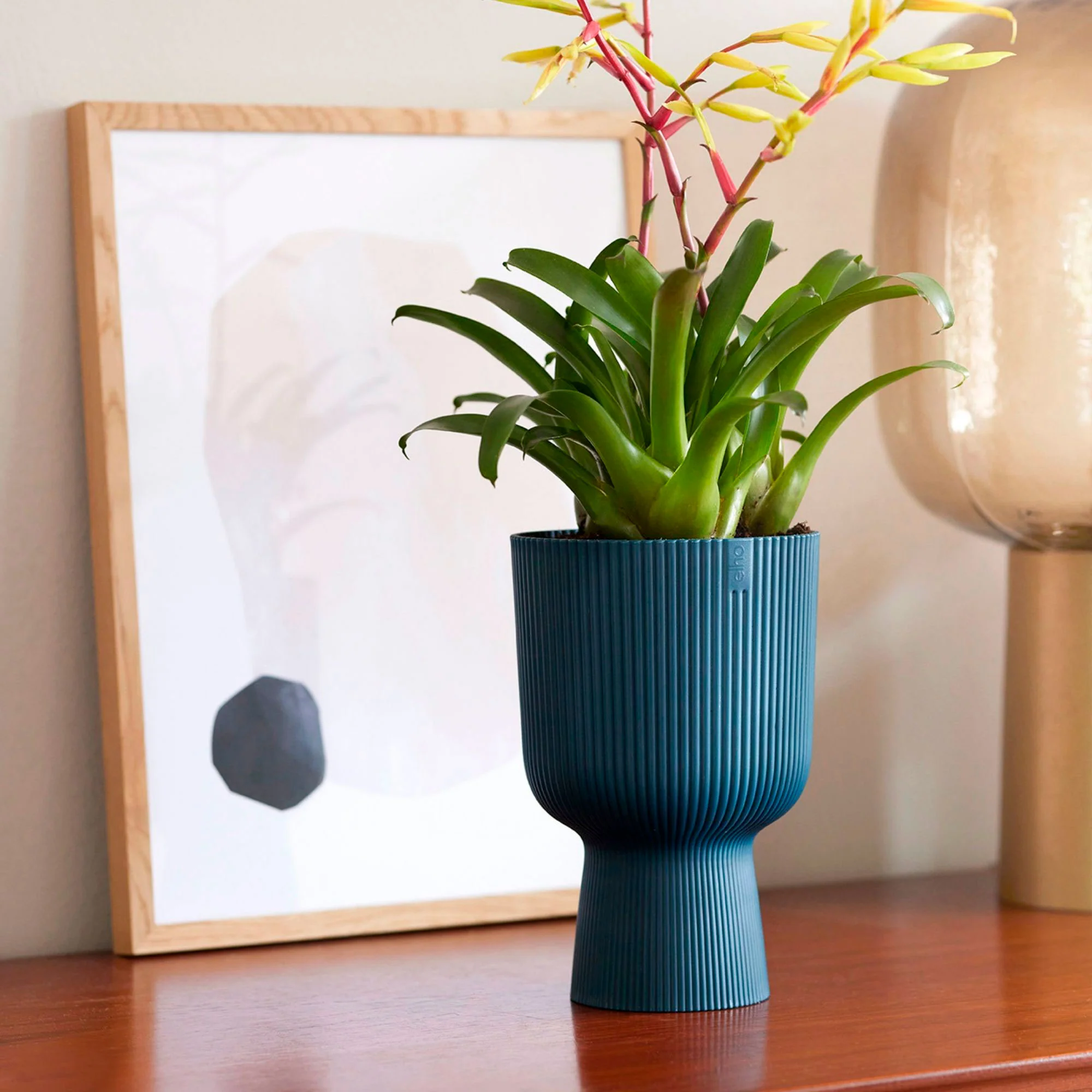 Elho Vibes Fold Coupe - Pot pour l'intérieur Bleu - Image 2