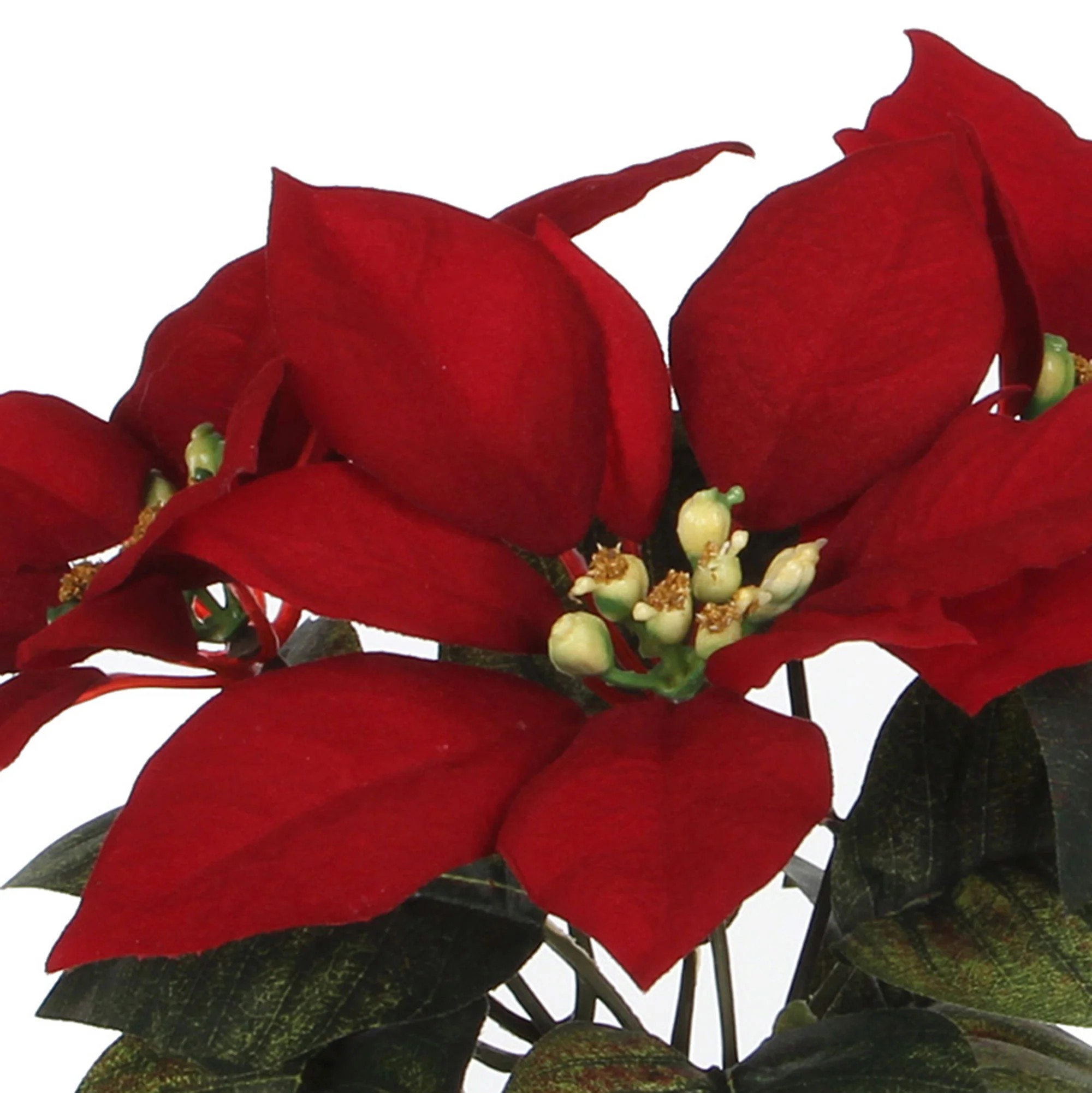 Étoile de Noël artificielle Poinsettia rouge-vert - Image 3