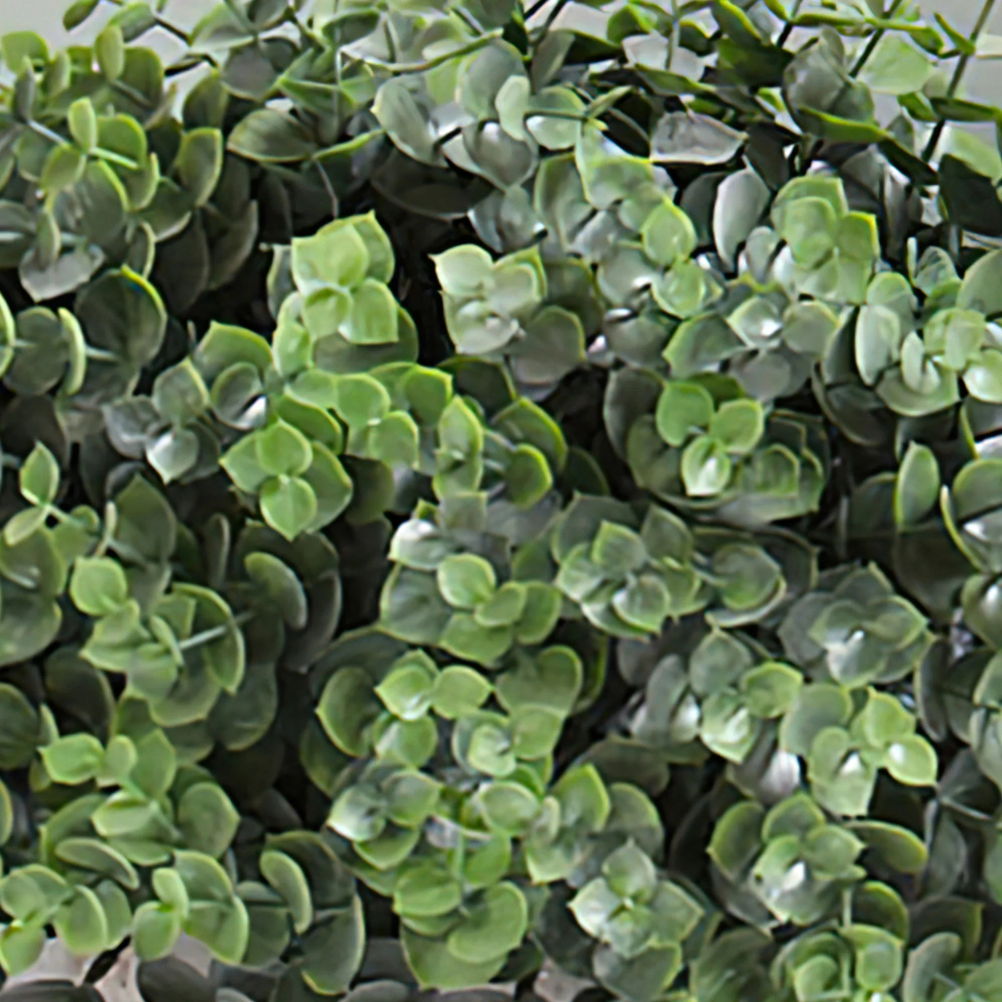 Eucalyptus artificiel avec cache-pot noir - Image 3