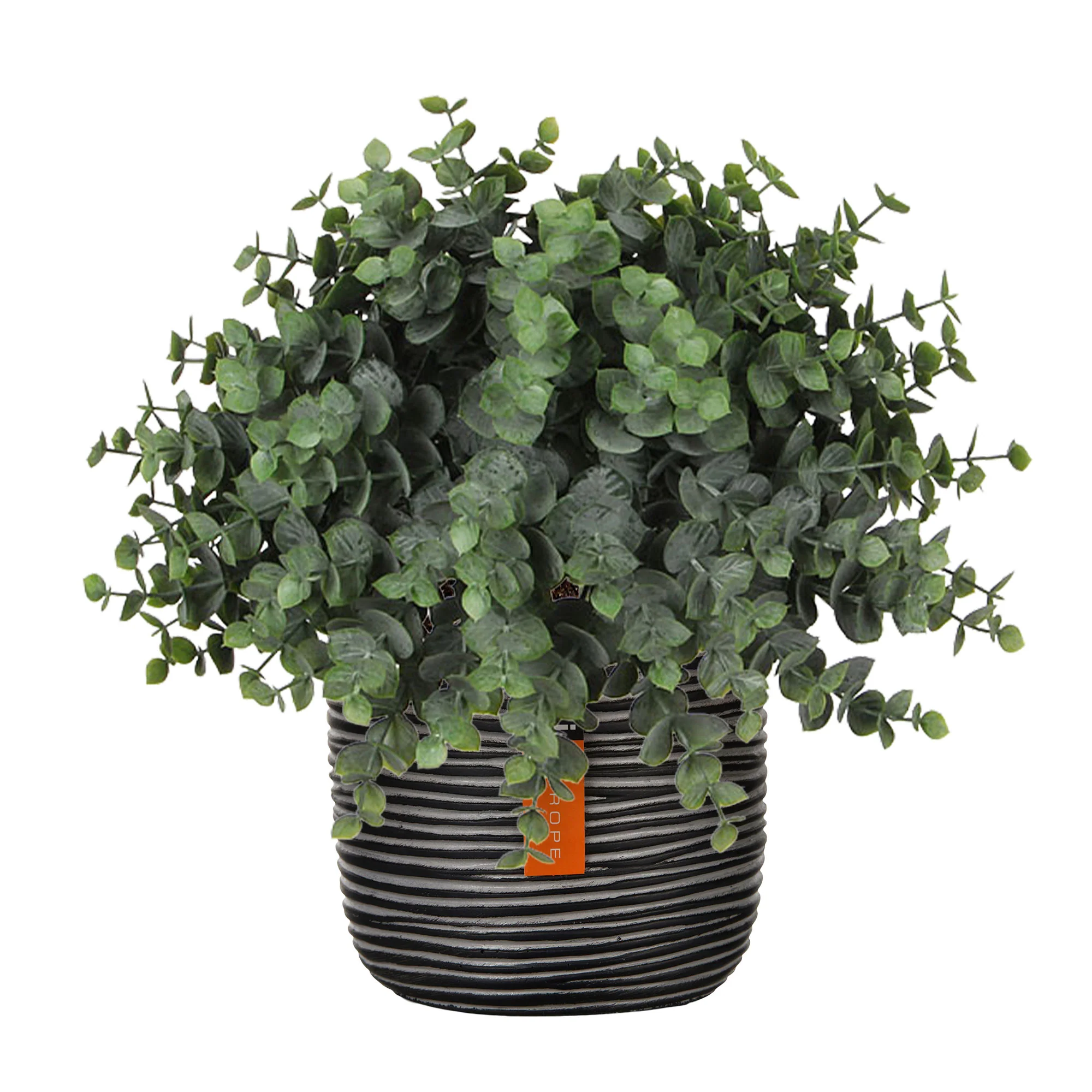 Eucalyptus artificiel avec cache-pot noir - Image 5