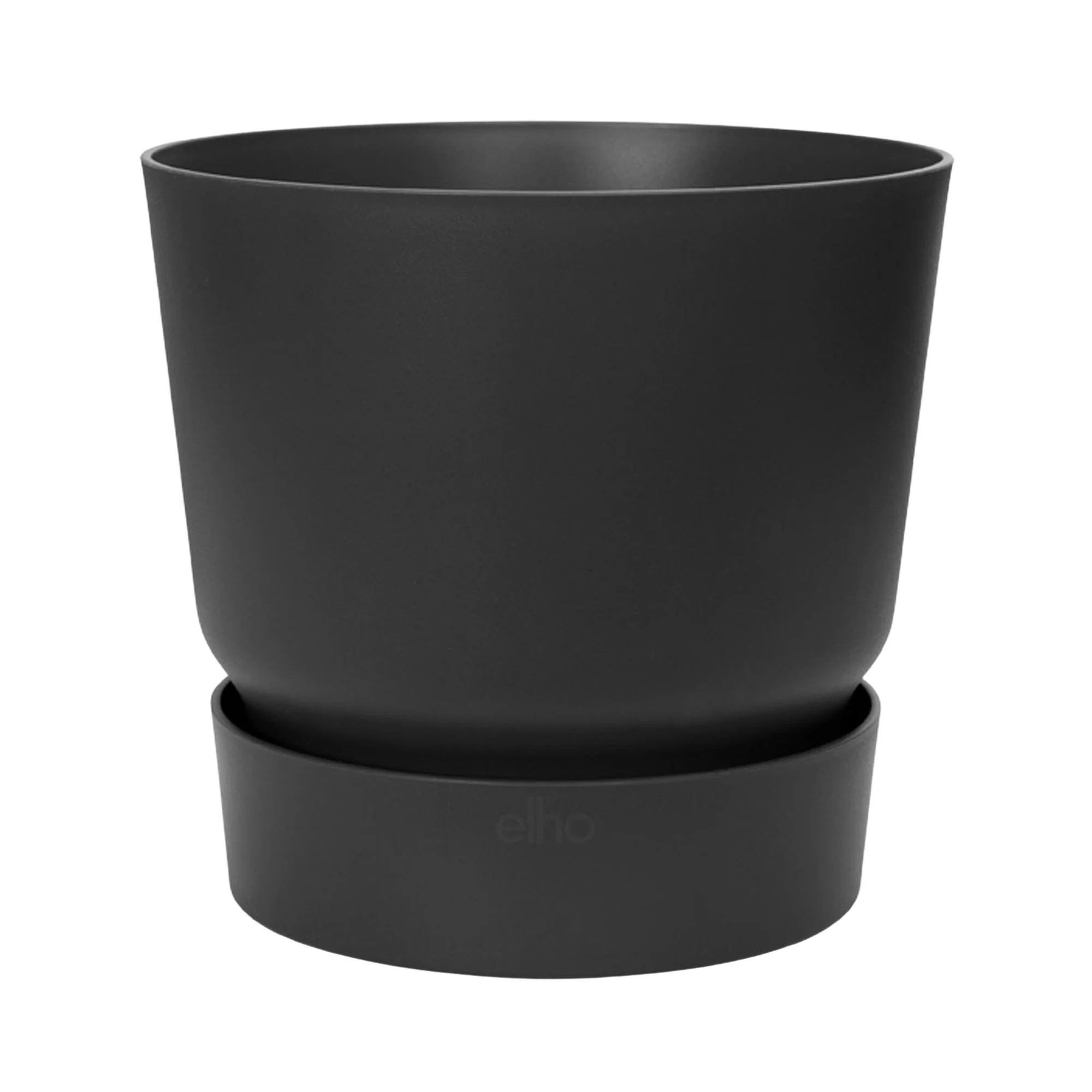 Figuier pleureur Ficus benjamina 'Danielle' avec cache-pot noir - Image 5