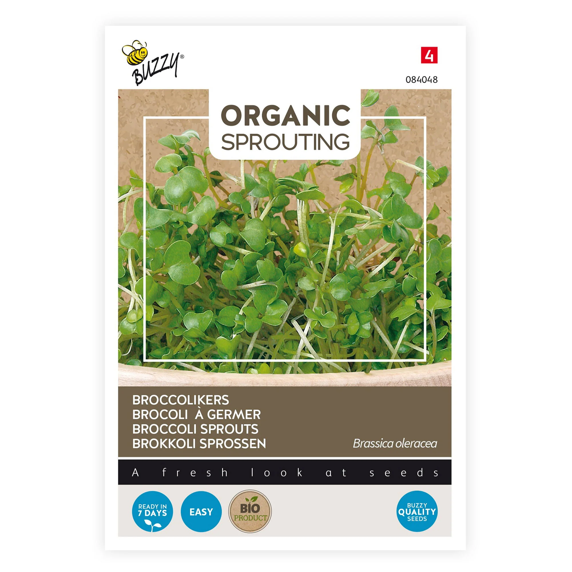 Graines de brocoli à germer Brassica oleracea - Biologique 36 m² - Semences de légumes - Image 2