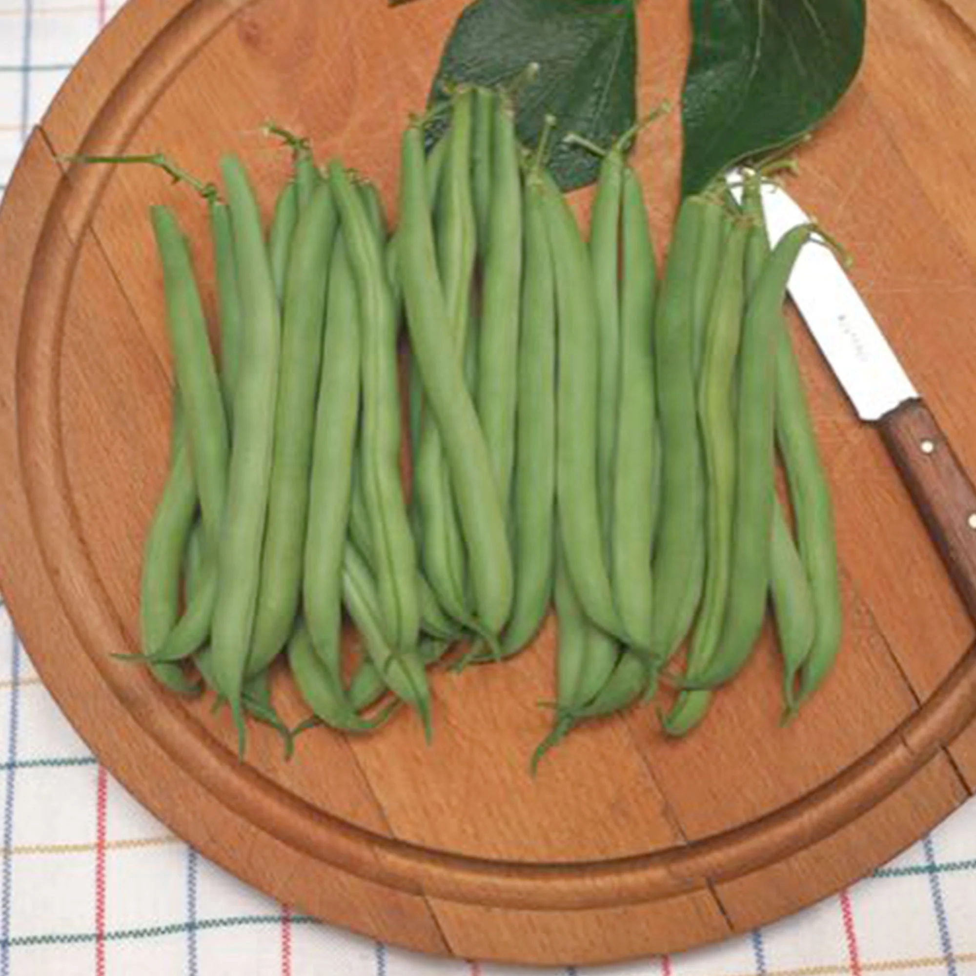 Haricot mange-tout Phaseolus 'Prelude' 2,5 m² - Semences de légumes - Image 2