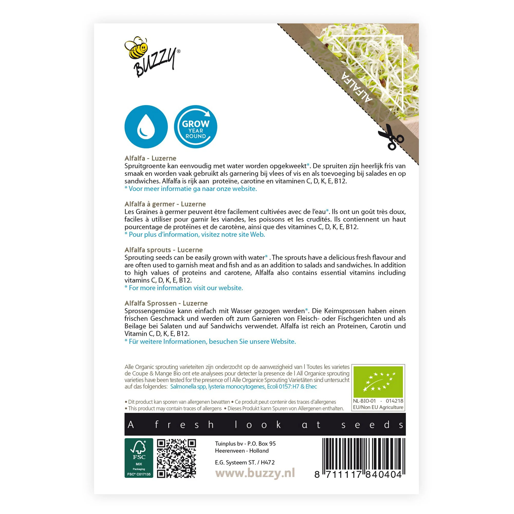 Luzerne Medicago sativa - Biologique - Image 3