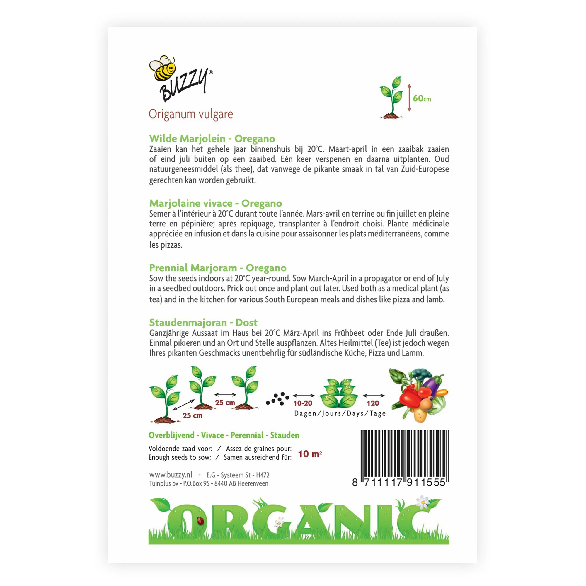 Marjolaine Origanum vulgare - Biologique 10 m² - Semences d’herbes - Image 3